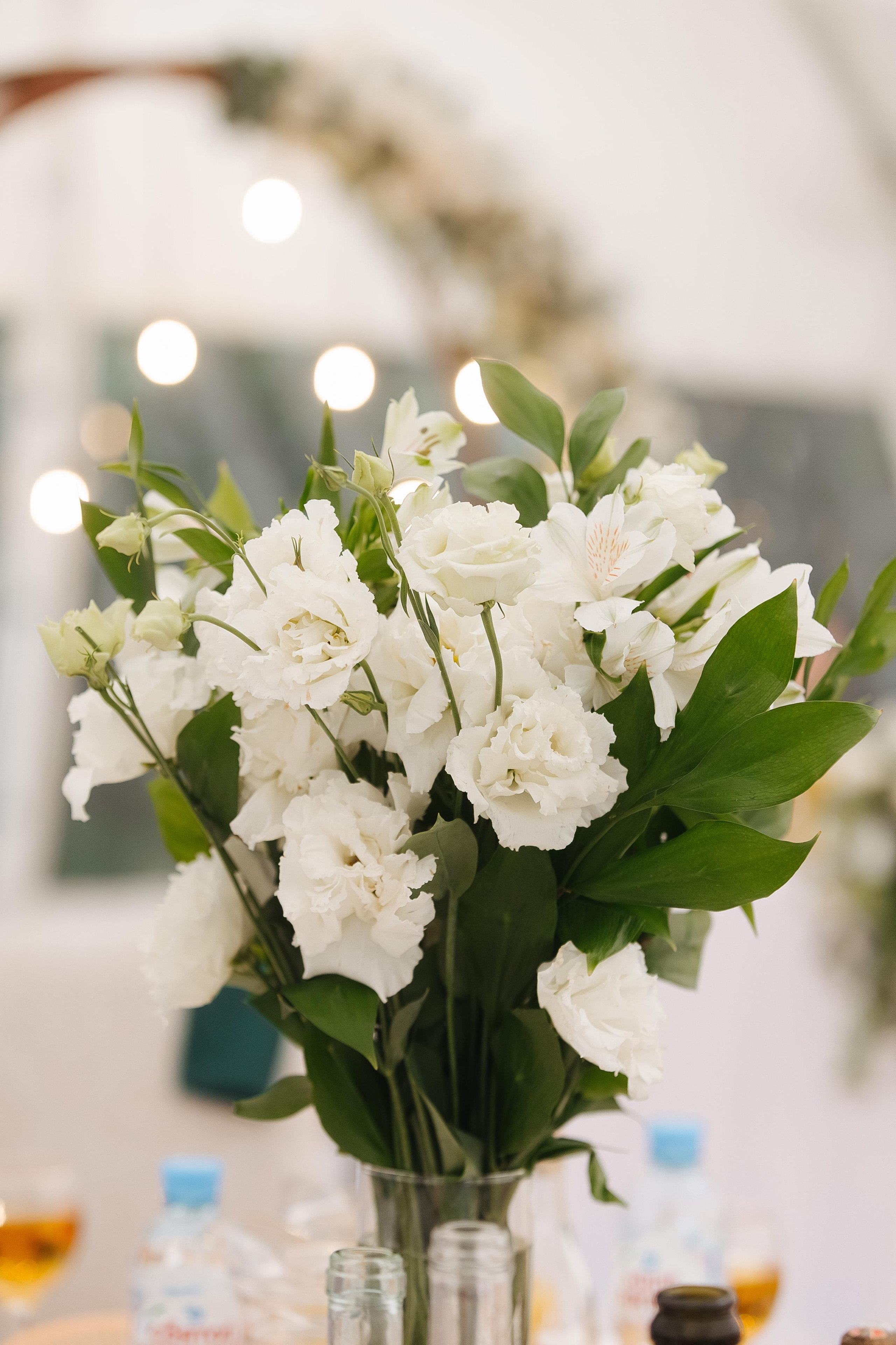 Алексей и Анастасия. Фотограф в Красноярске Надежда Воскресенская