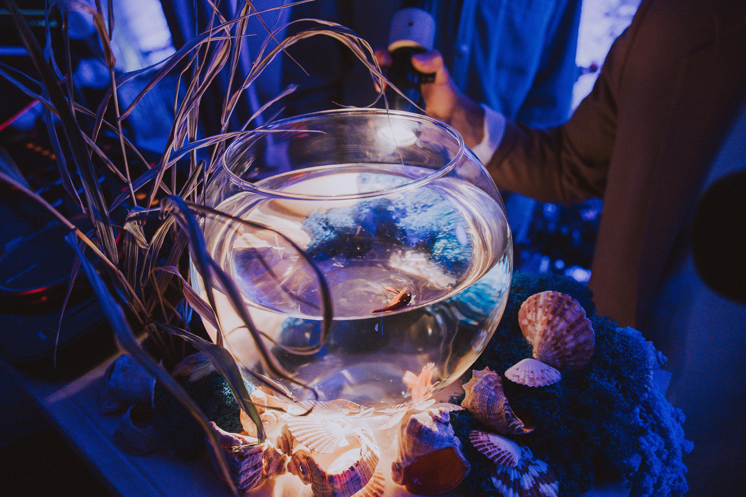 На глубине души. Фотограф в Красноярске Надежда Воскресенская