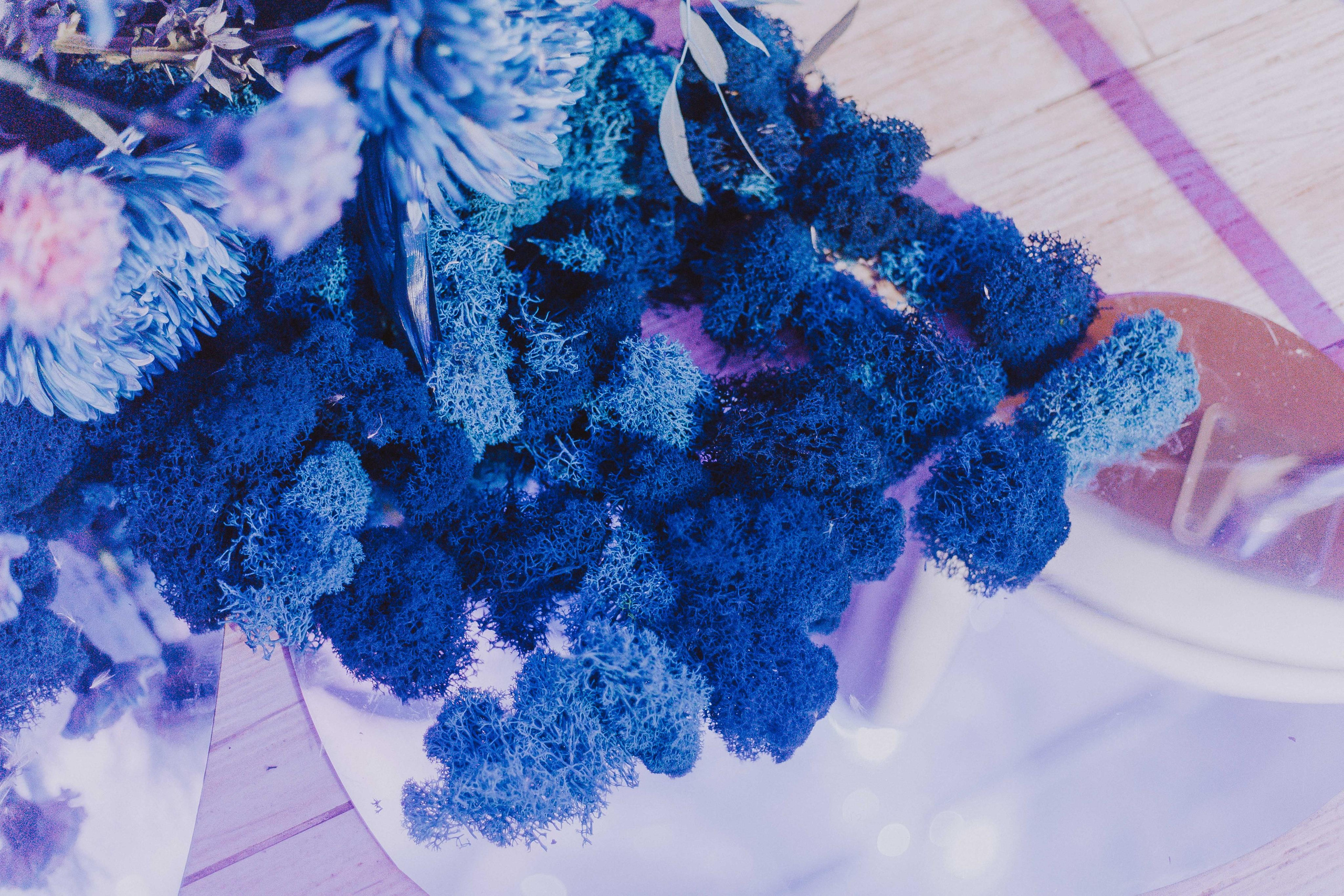 На глубине души. Фотограф в Красноярске Надежда Воскресенская