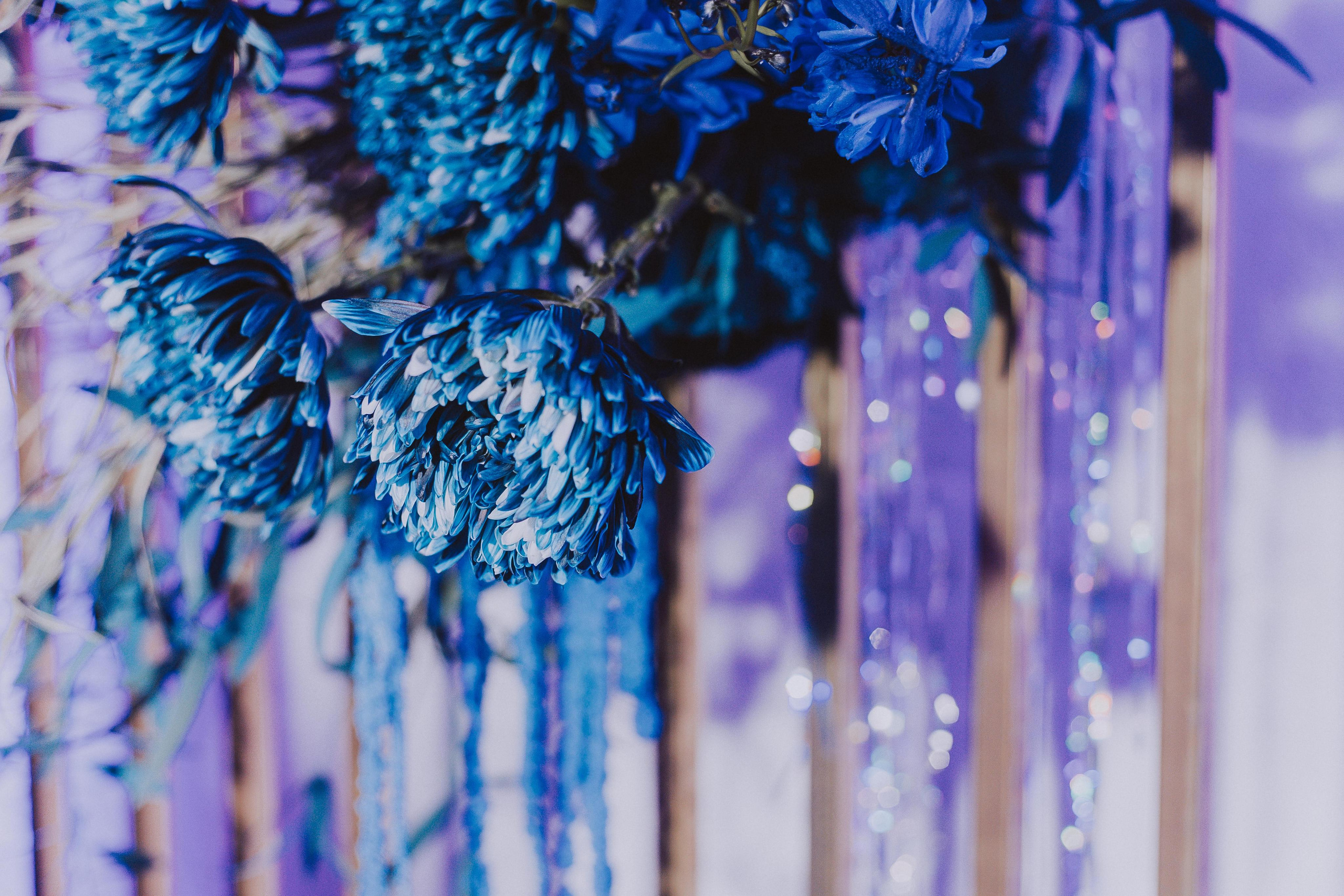 На глубине души. Фотограф в Красноярске Надежда Воскресенская