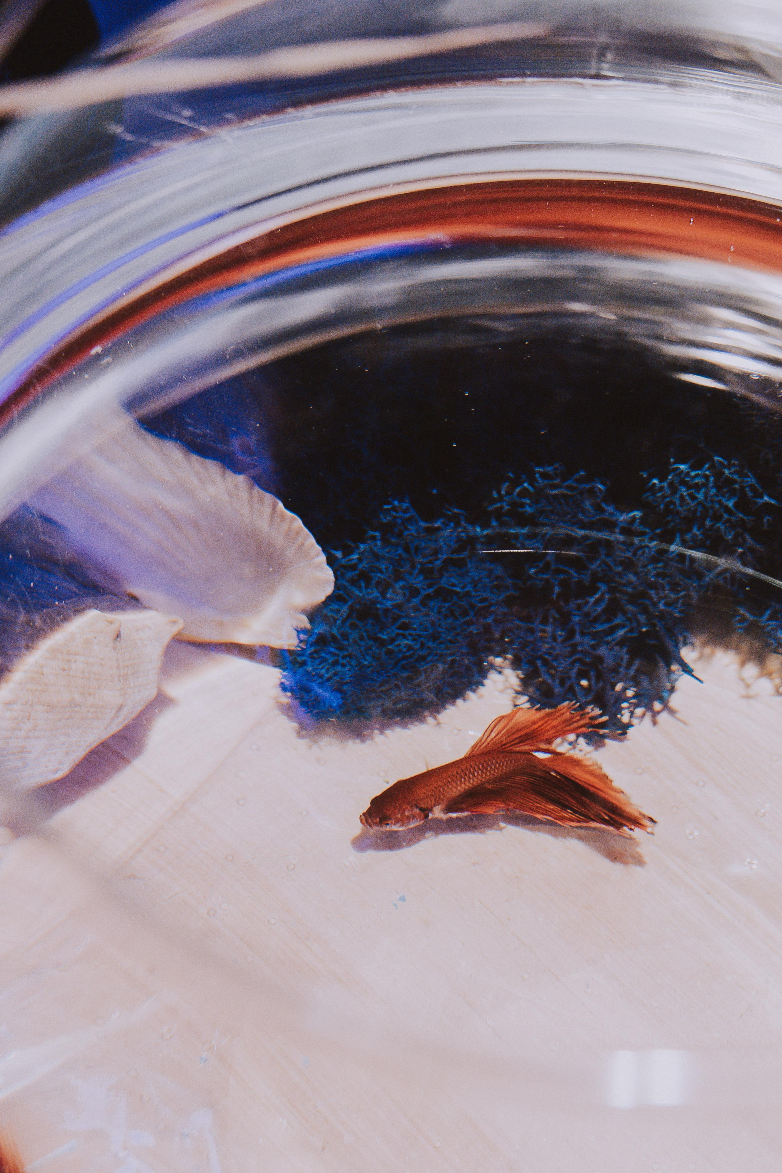 На глубине души. Фотограф в Красноярске Надежда Воскресенская