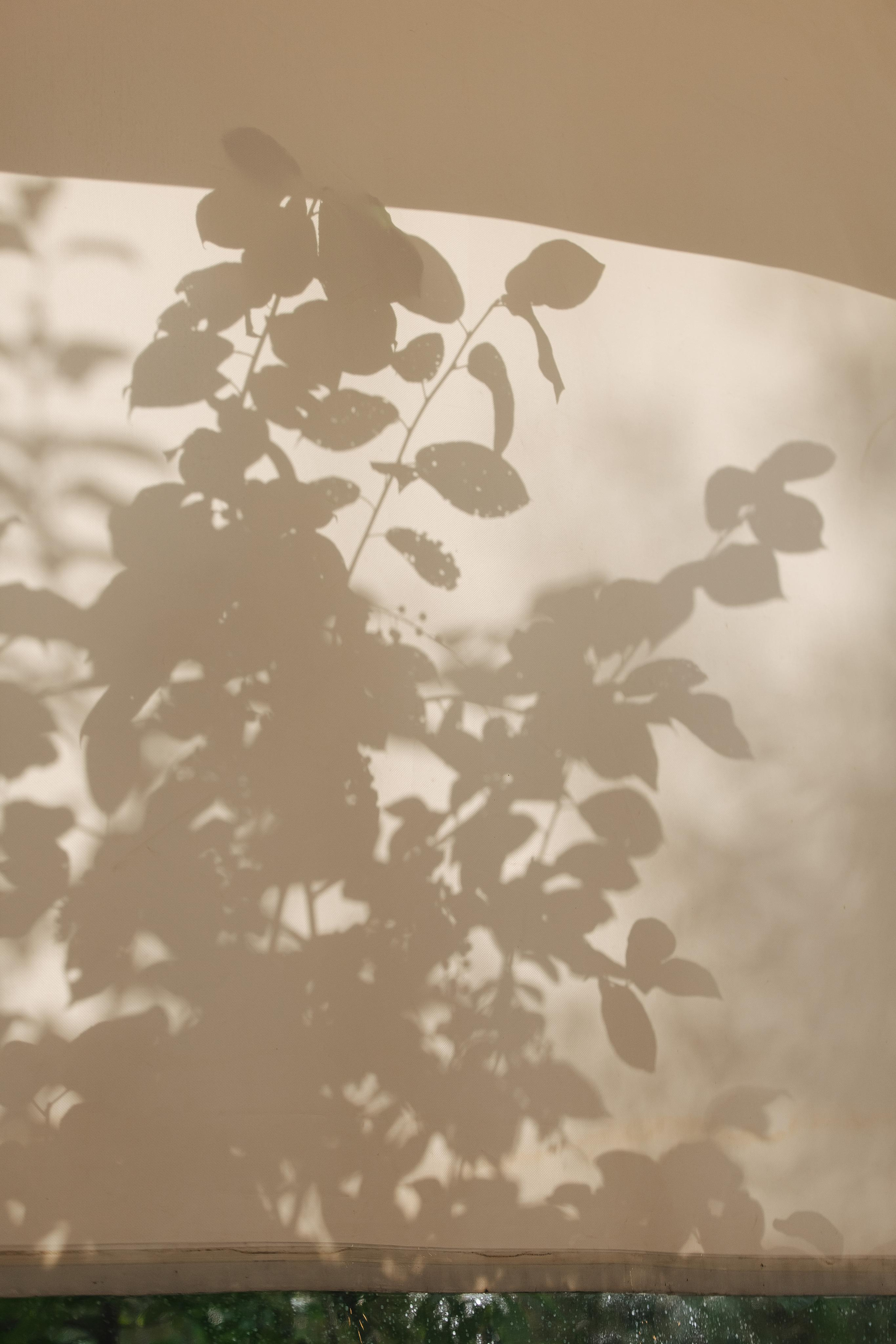 Алексей и Анастасия. Фотограф в Красноярске Надежда Воскресенская