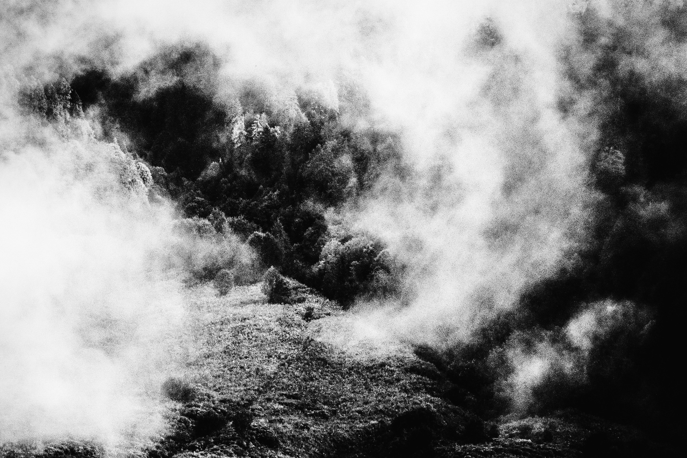 Затмение. Катерина Эделева