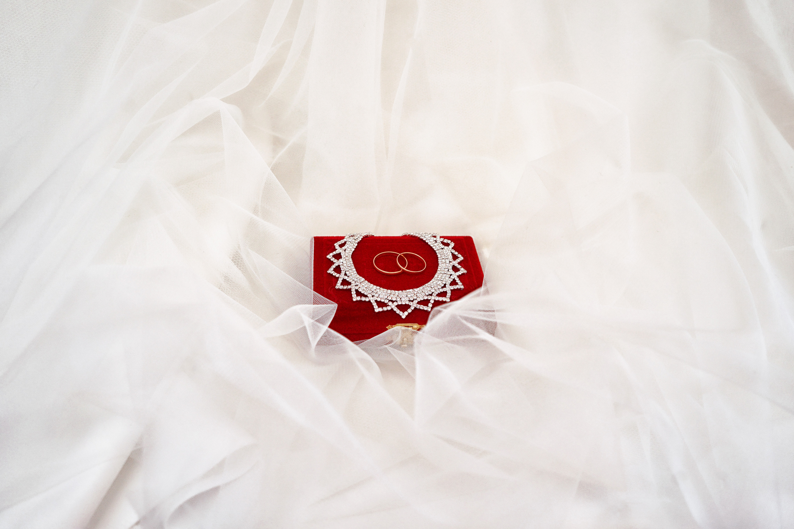 Свадьба. Фотограф, видеооператор Нина Коршунова