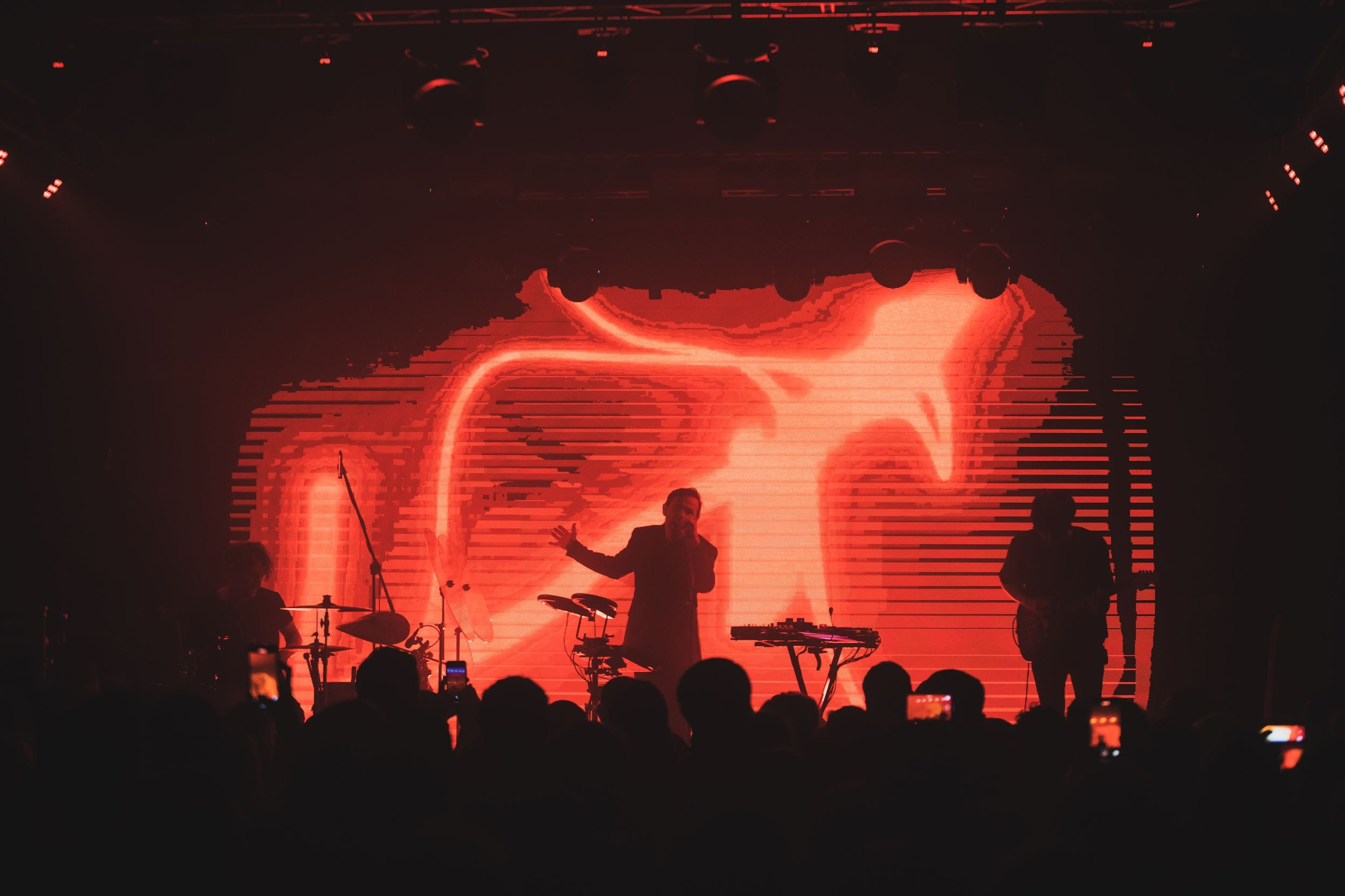 Дельфин. Репортажный фотограф Алексей Пирязев