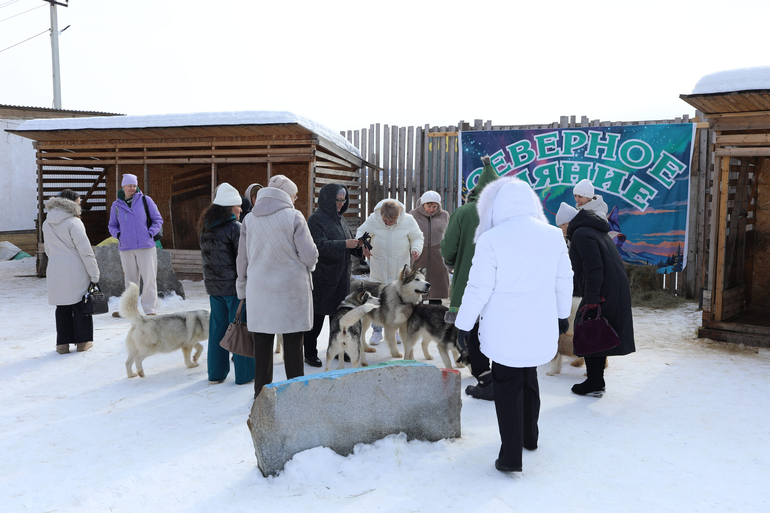 Наши партнеры. Иволга74