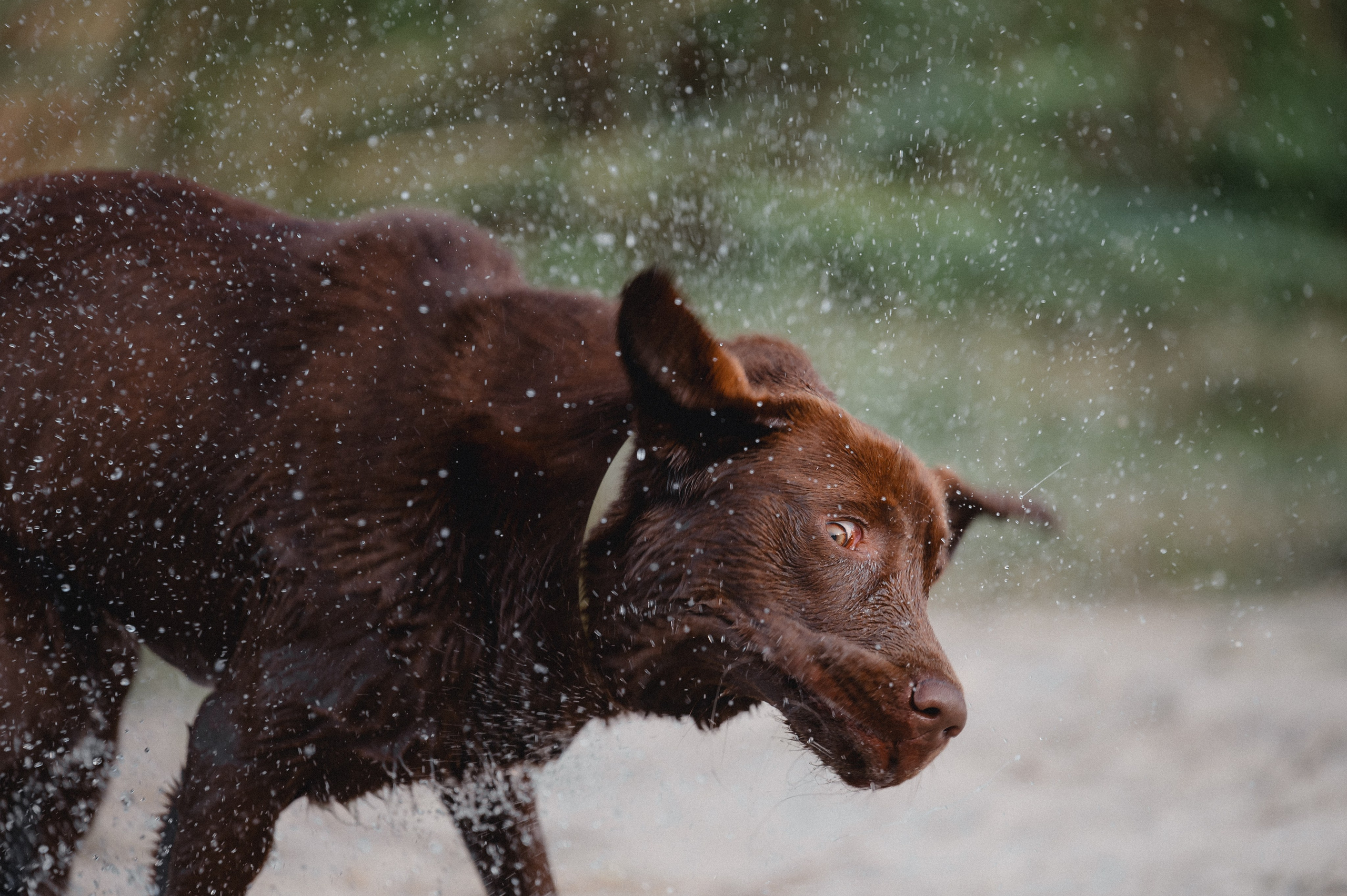 Анечка и Дэя. Фотограф в Ростове —на — Дону