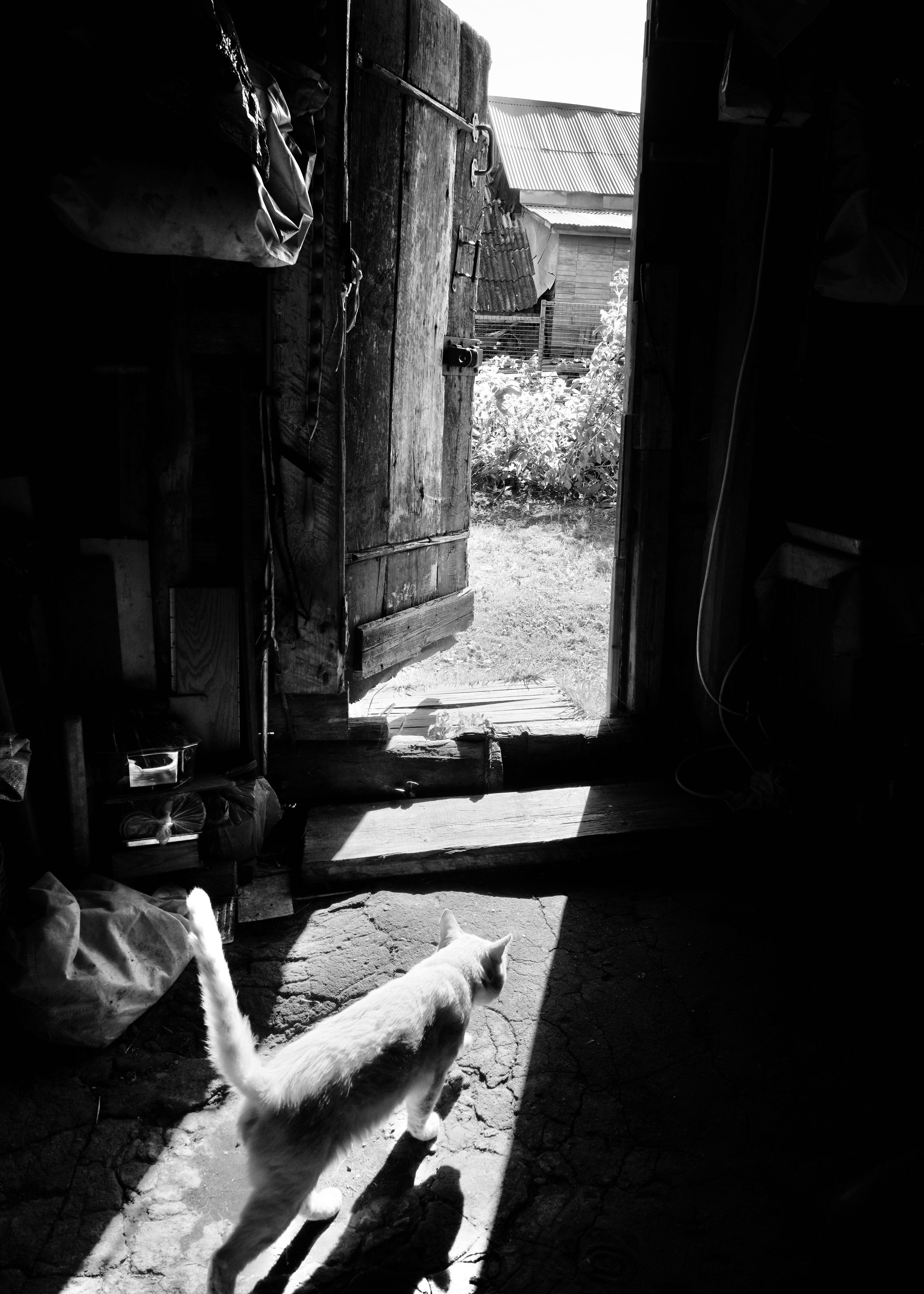 Заметки. Колесникова Мария Арт-фотограф