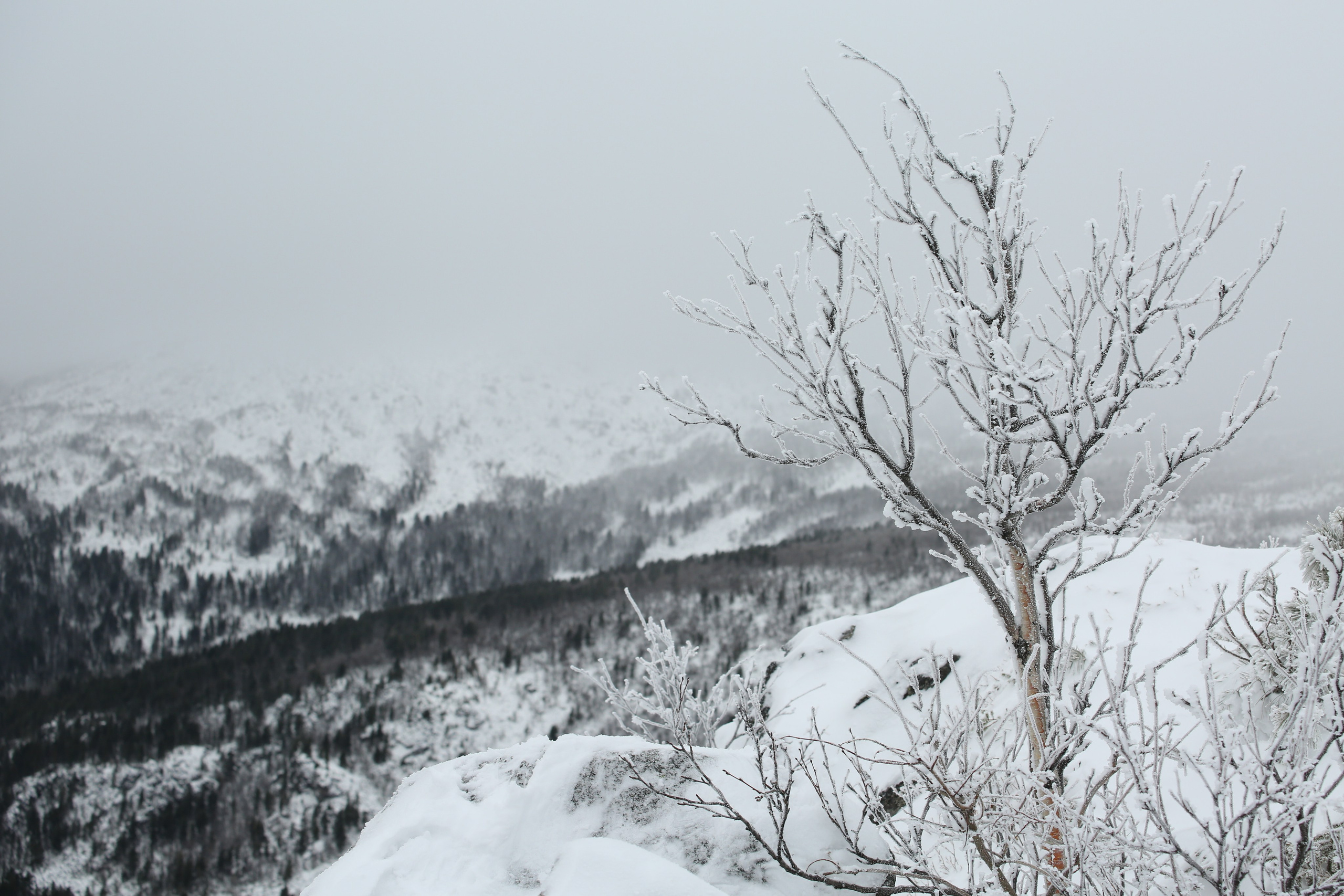 Северный Урал. Авторские туры с профессиональным фотографом