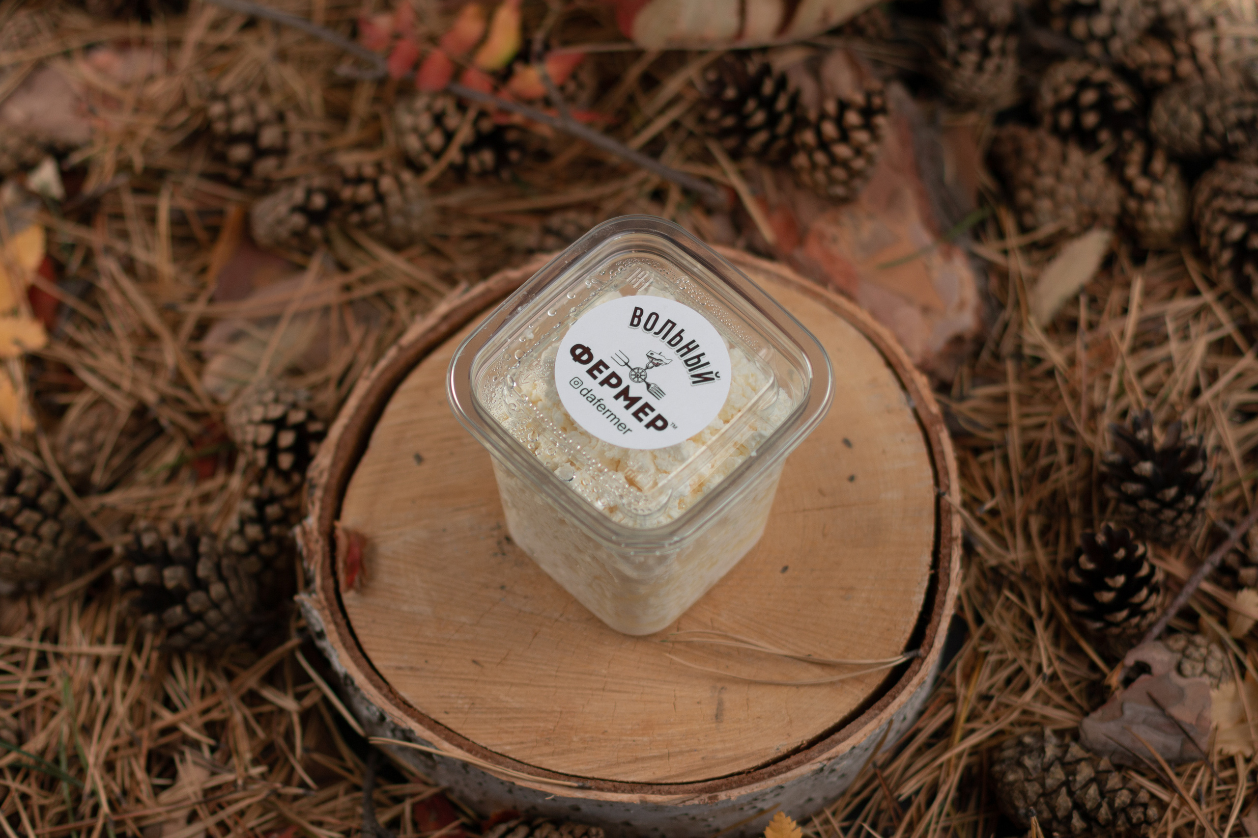 Контент. Андрей Лис фотограф в Екатеринбурге