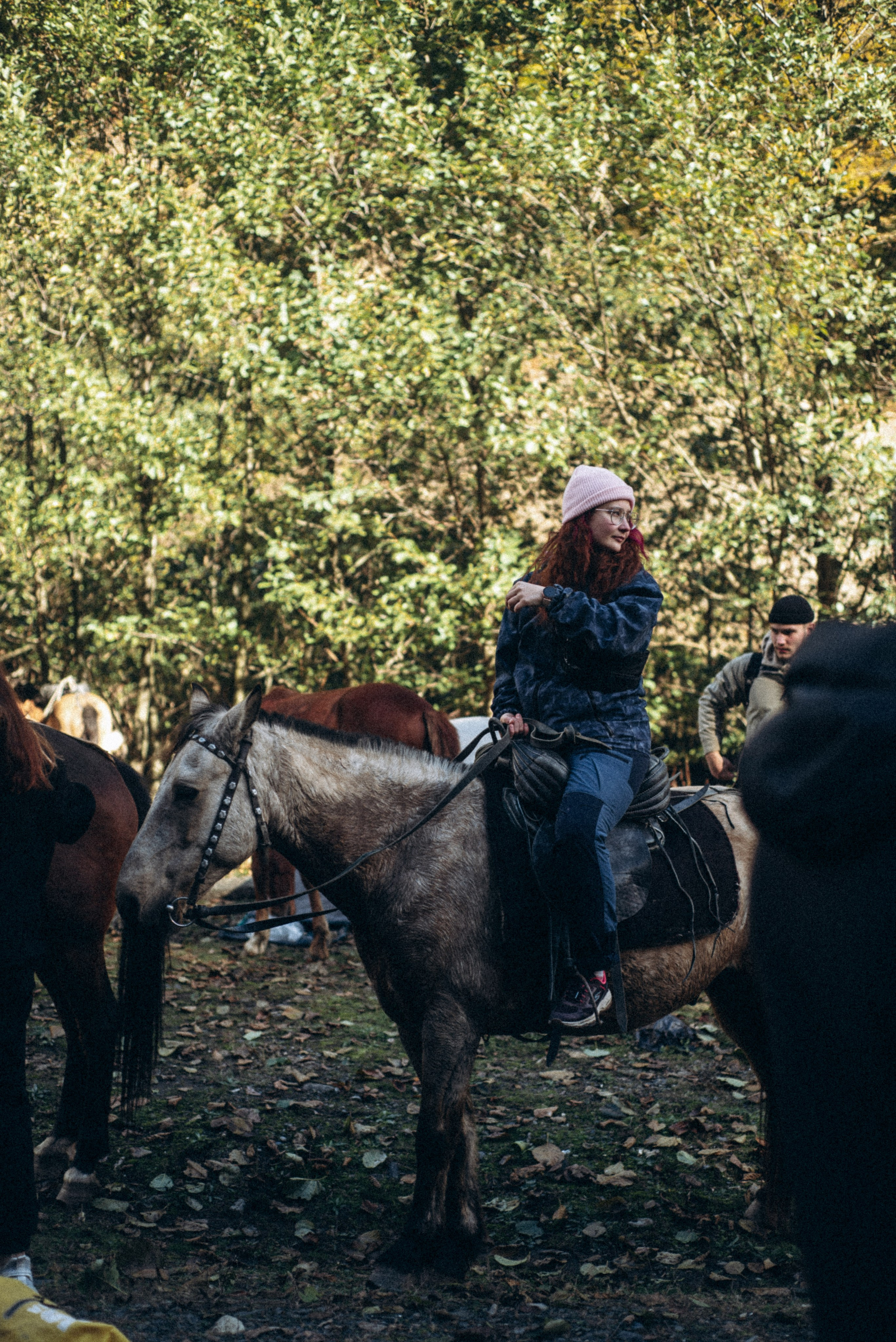 Конный поход 🇬🇪 «PVD Club». Anita_photo