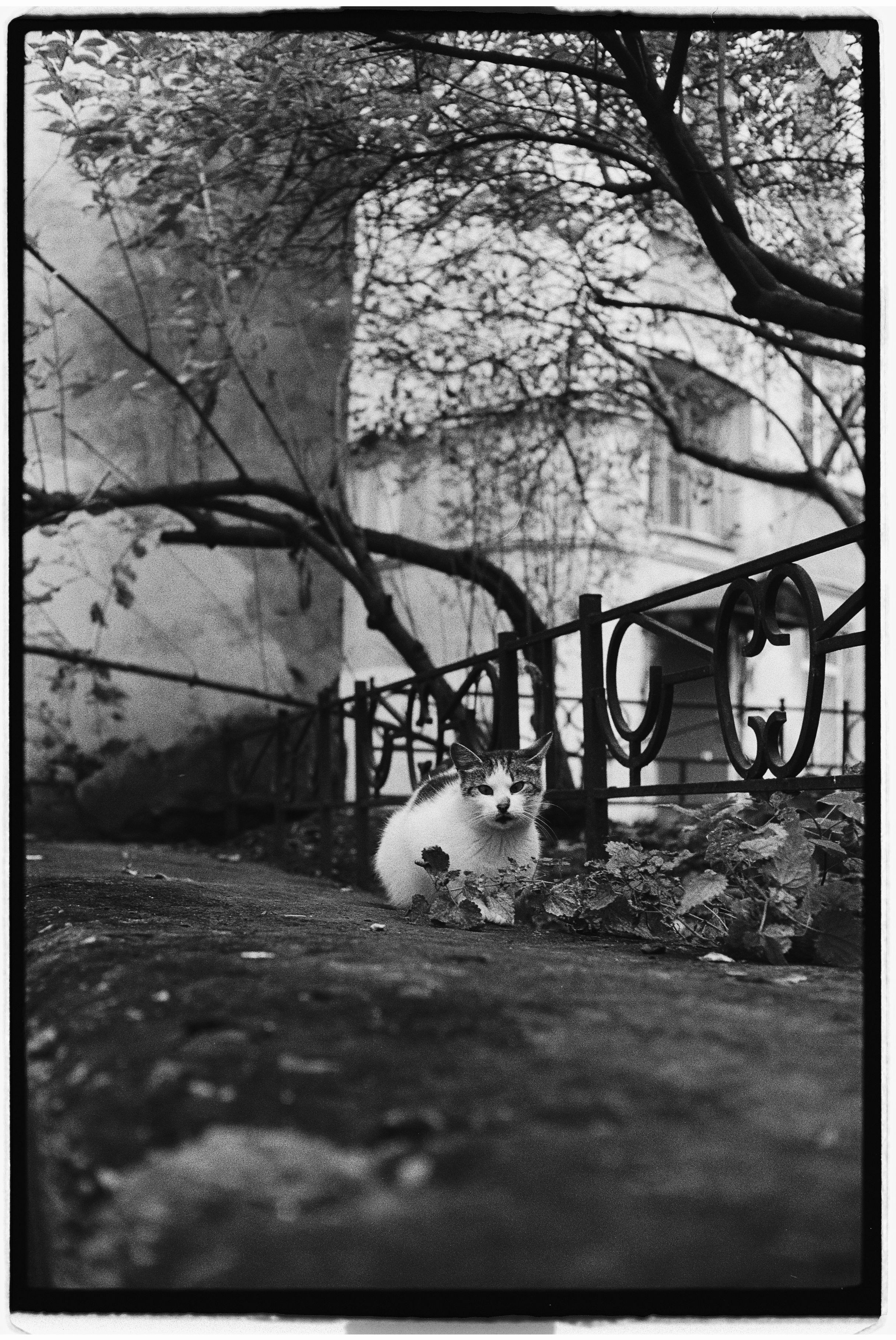 St. Petersburg. @tomrus: Рустам Шагиморданов — фотограф