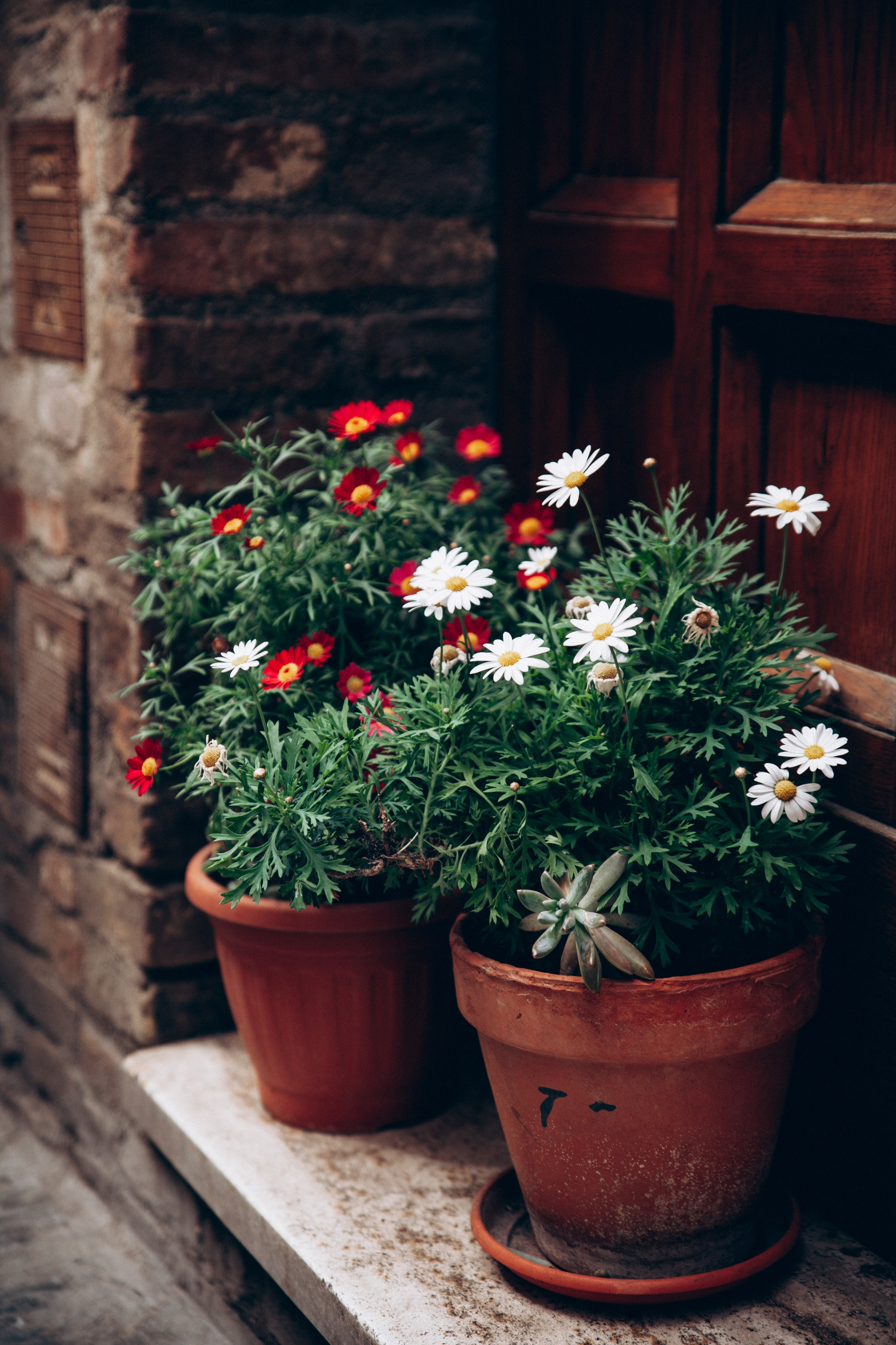 Италия. Репортажный и детский фотограф в Минске