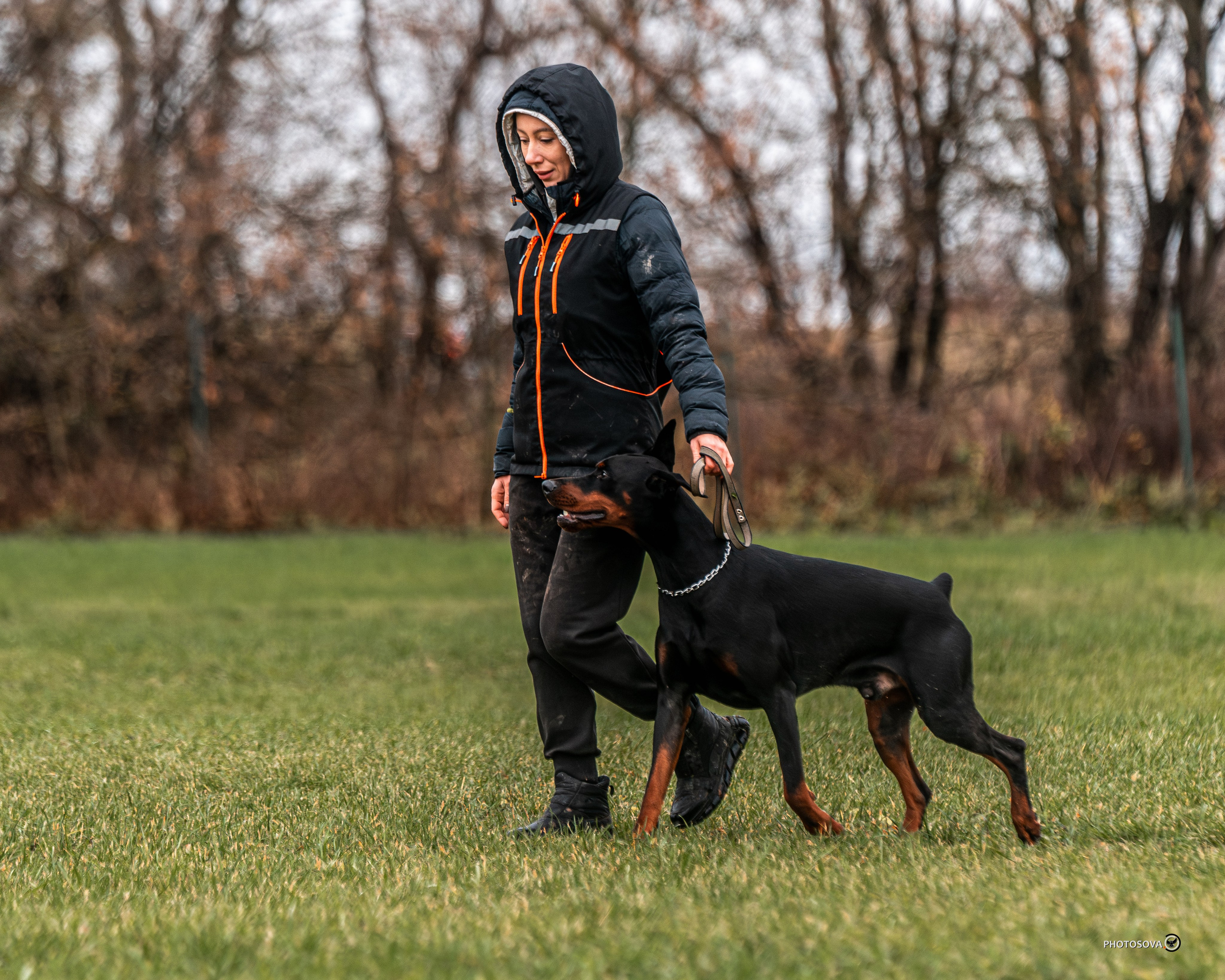 МЫ — КОМАНДА (соревнования) OKD, BH, IBGH, IGP. Фотограф-анималист, семейный фотограф в Москве и Подмосковье. Фотосъёмка кинологических дисциплин