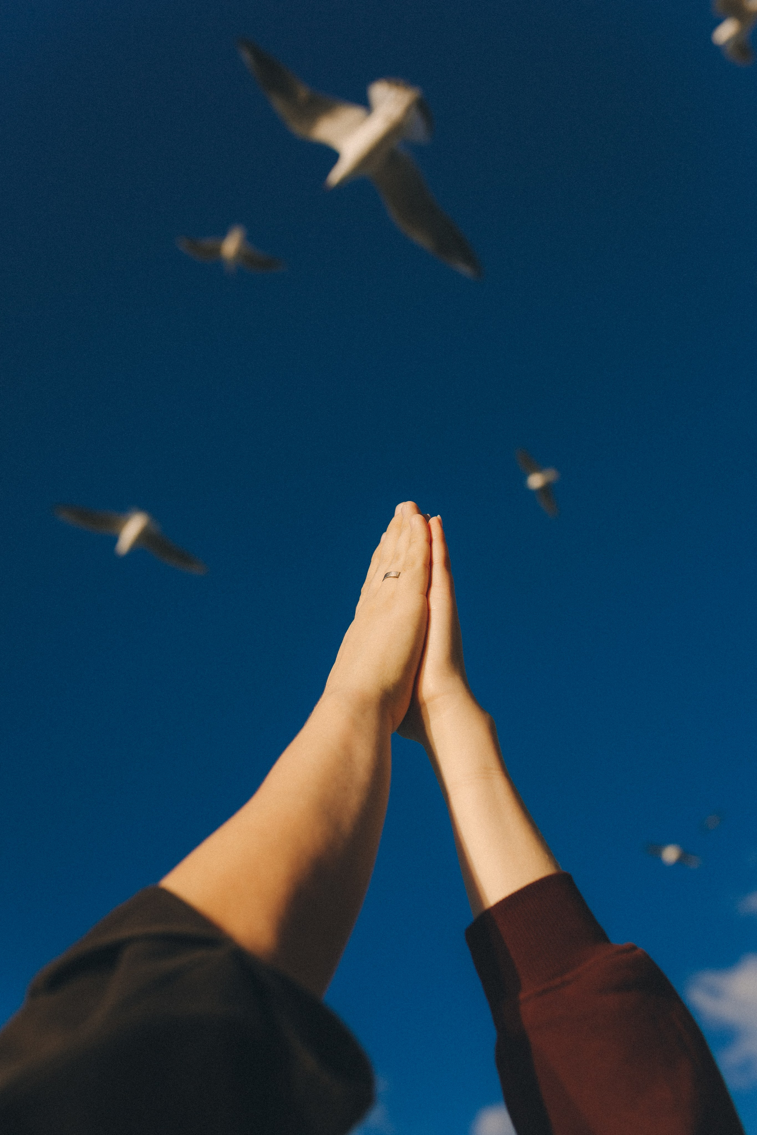 Один осенний закат. Фотограф Зеленоградск Красильникова Елена