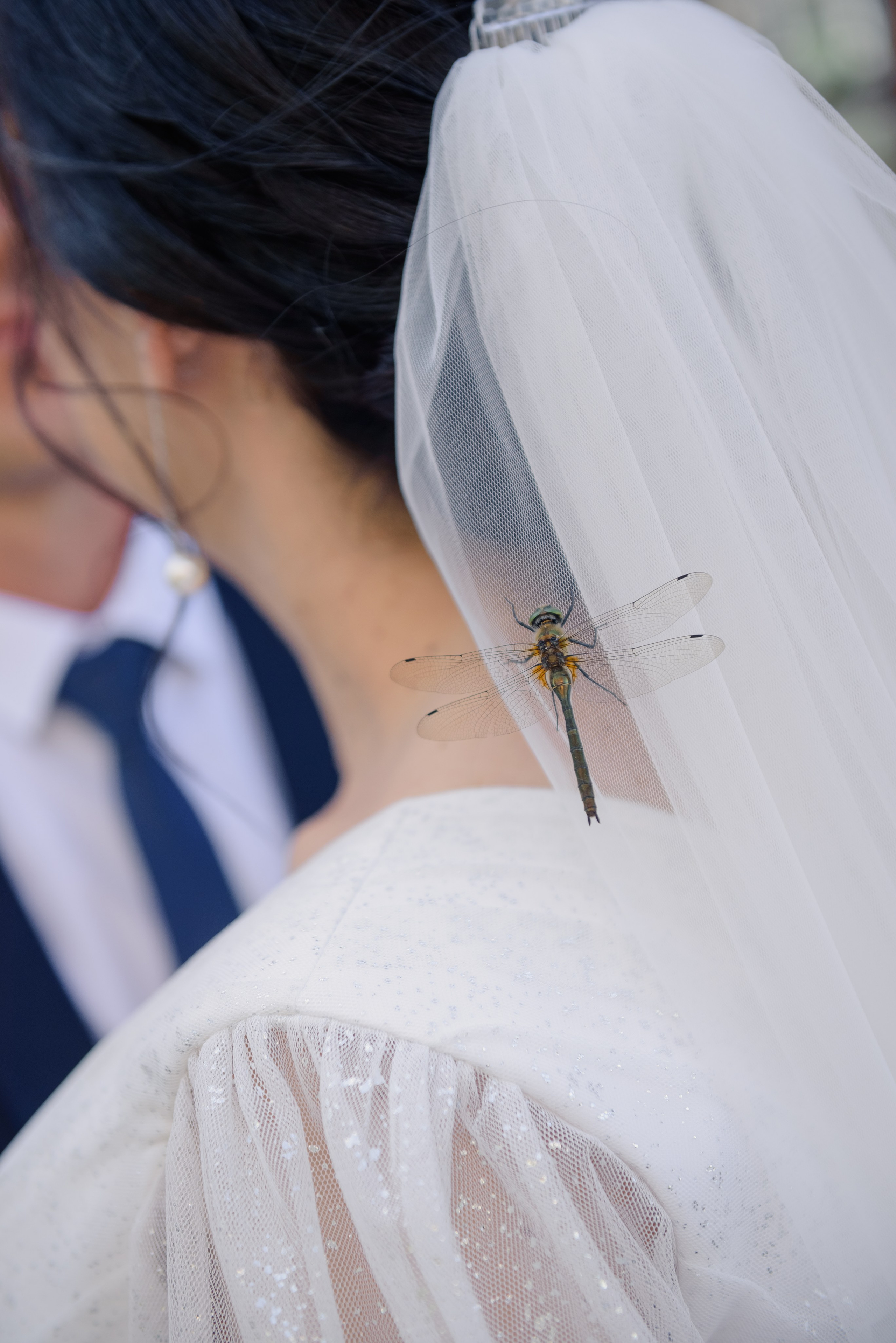 Дмитрий и Маргарита. Семейный фотограф в Рязани Мария Ермакова