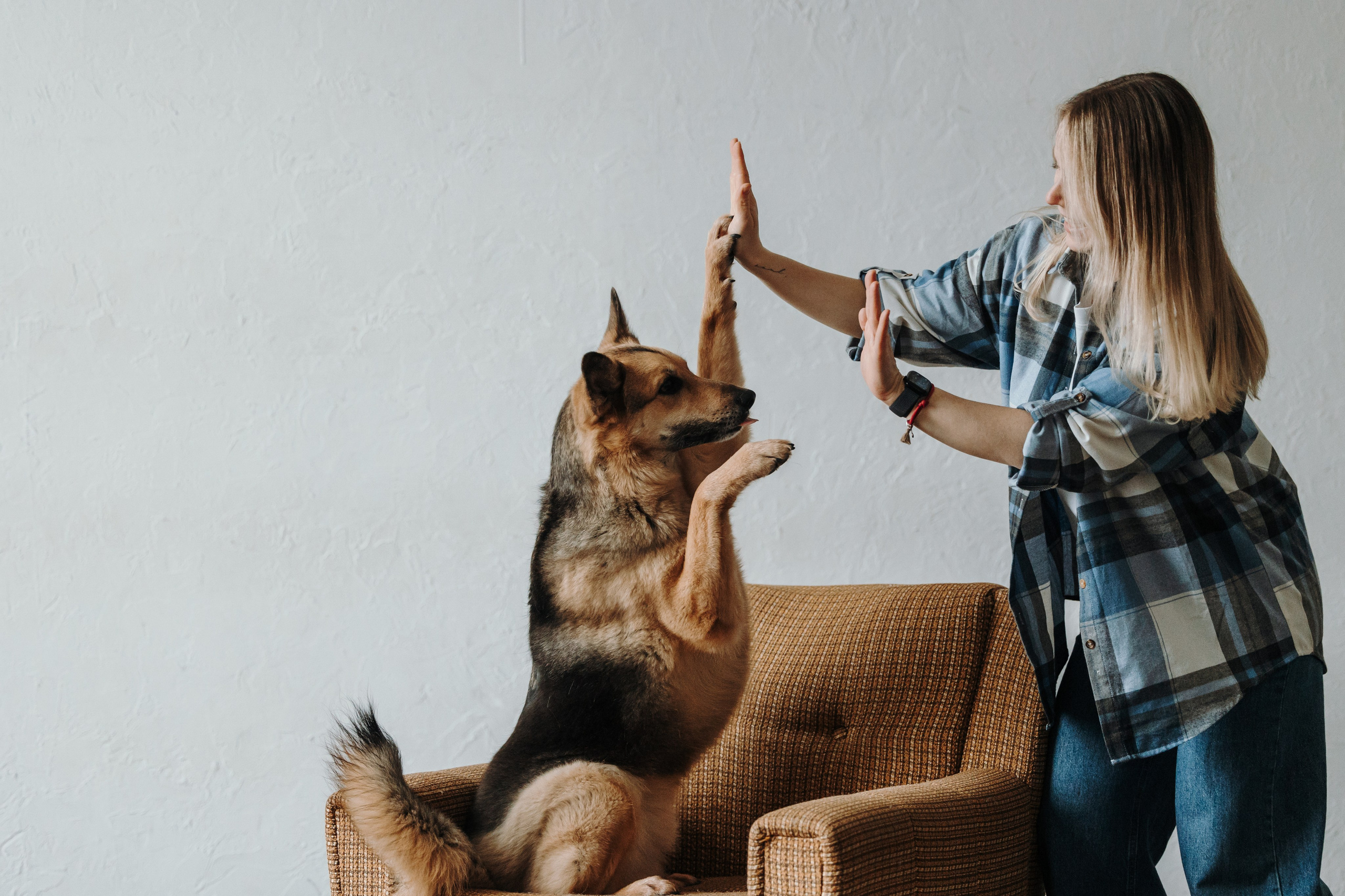 Лена и Дёма. Фотограф — Анималист | Санкт-Петербург