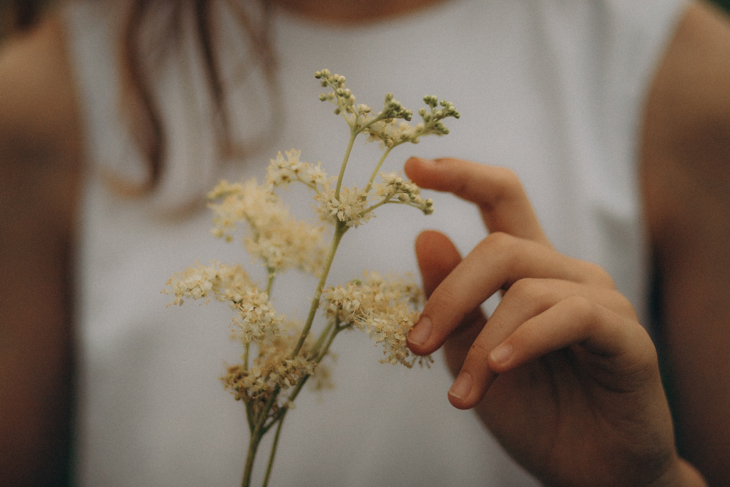 Туманное утро. Детский и семейный фотограф в Красноярске Юлия Бирюкова