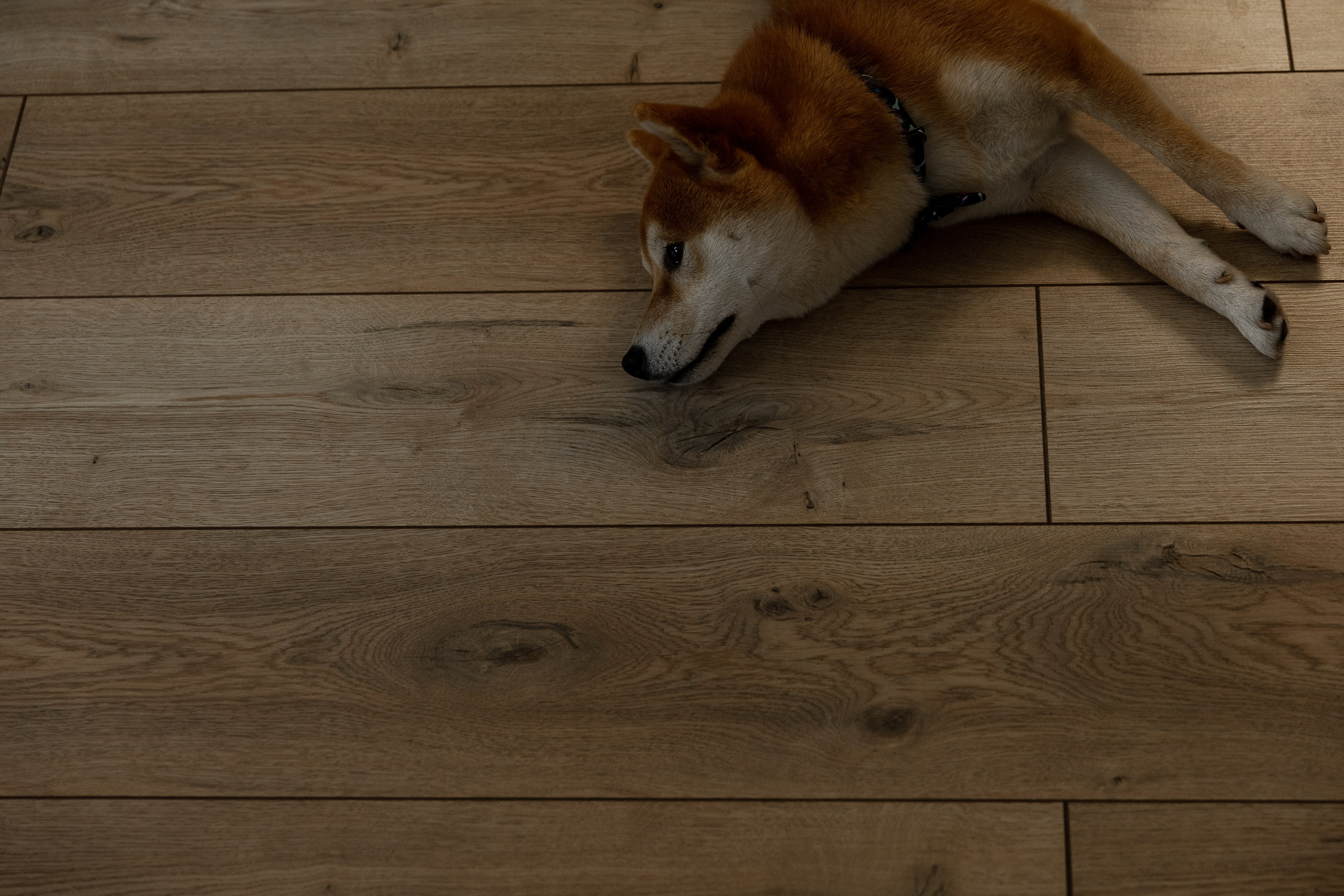 Себа. Свадебный фотограф Ярославль, Рыбинск