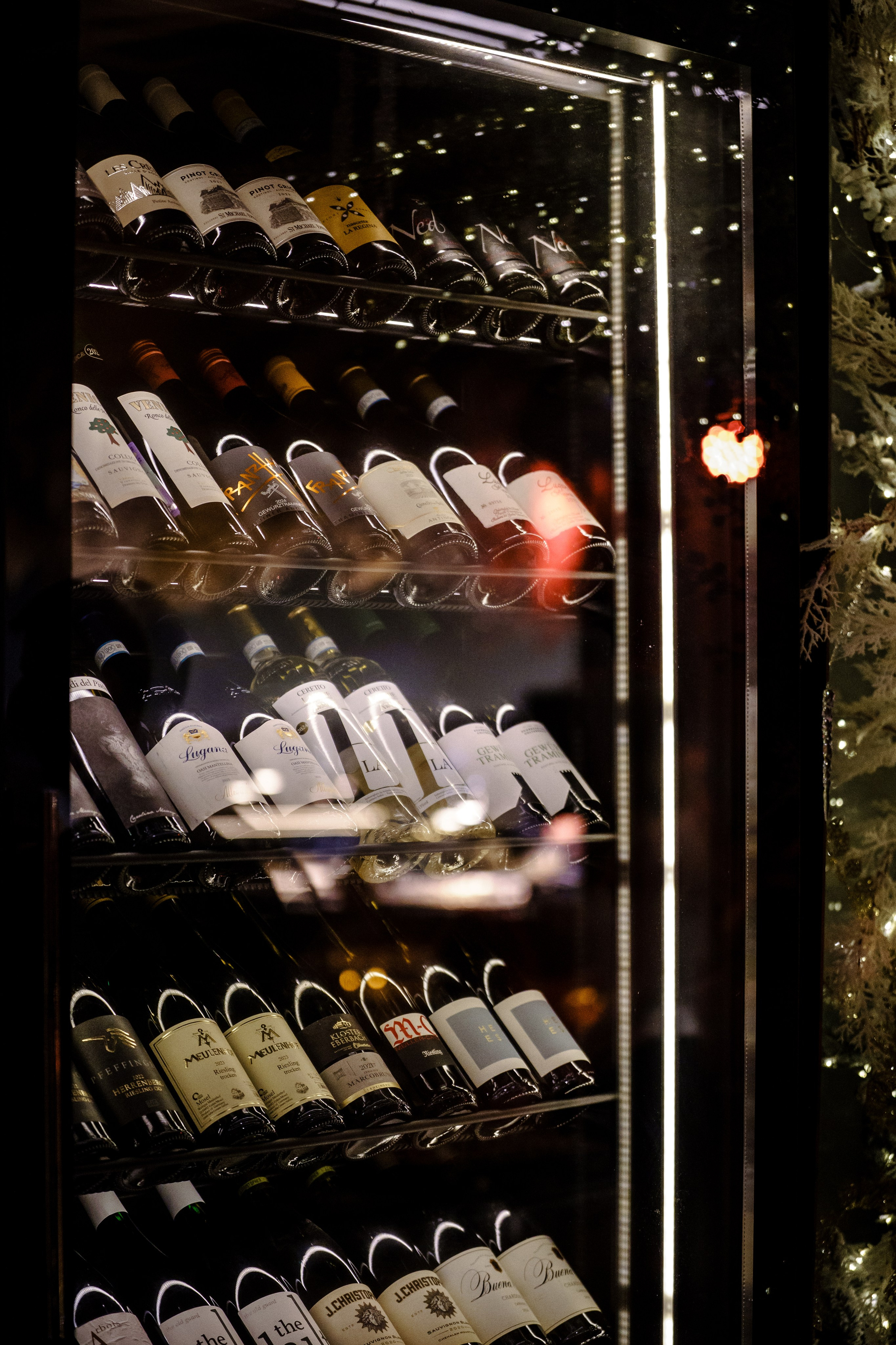 Литературный вечер «Libra». Репортажный фотограф в Москве Саша Дружинина