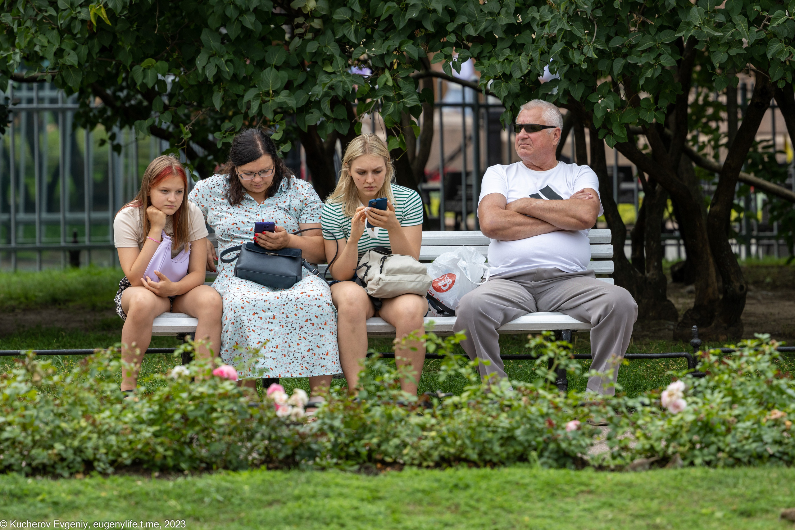 Скамейки. Кучеров Евгений. Фотограф