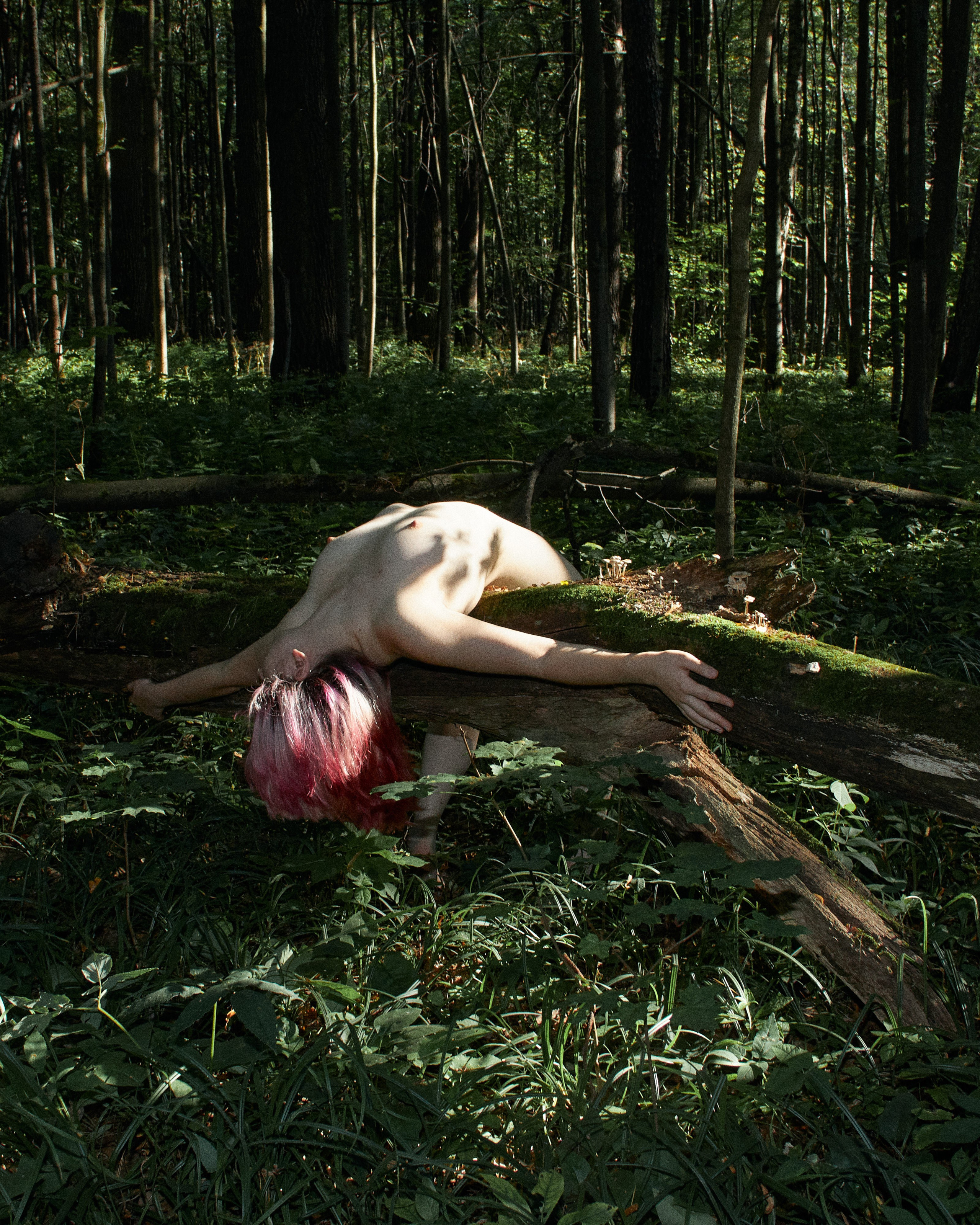 ALENA. Andrew Valmus