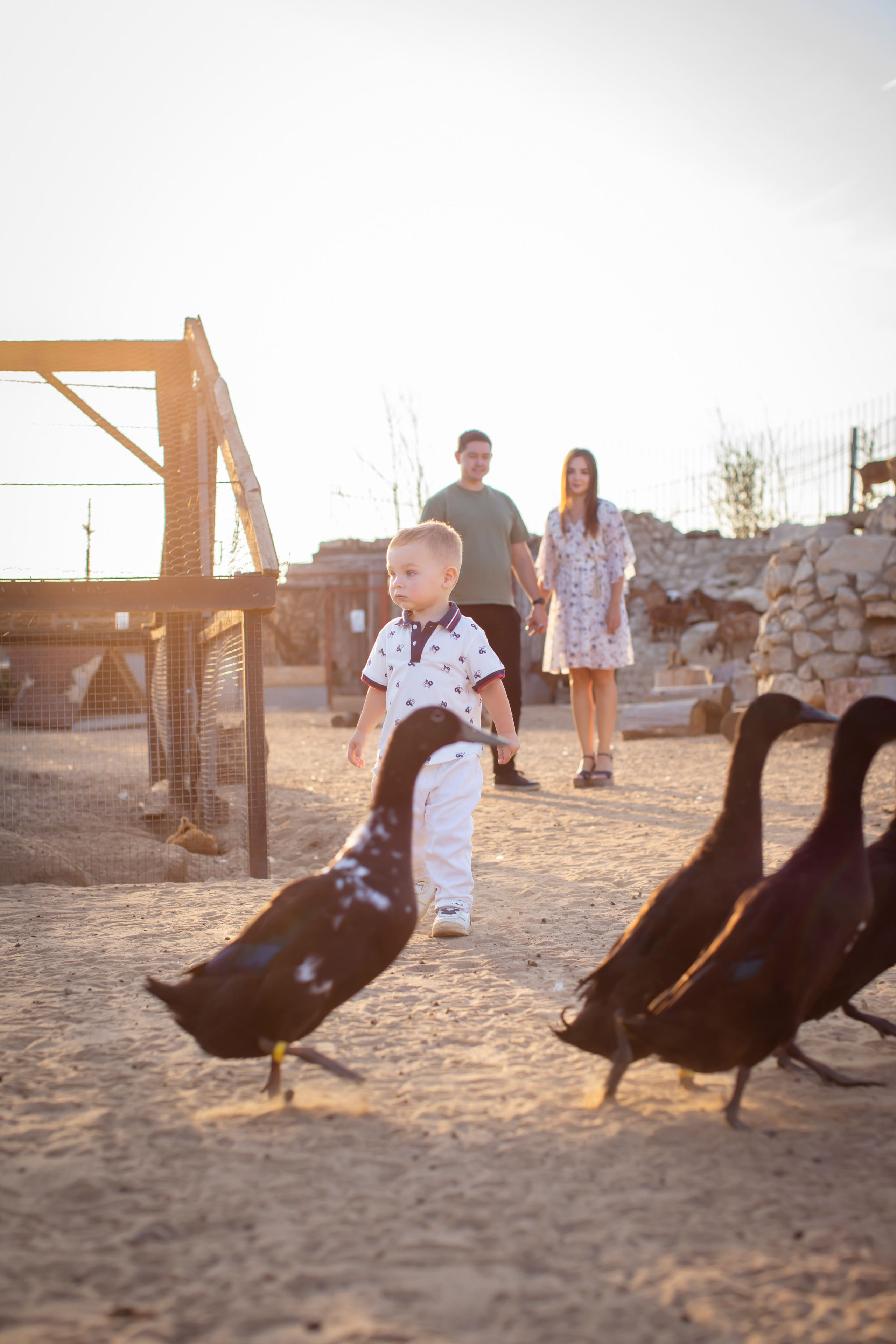 Семейная съемка на Ферме56. Фотограф Наталья Штукина