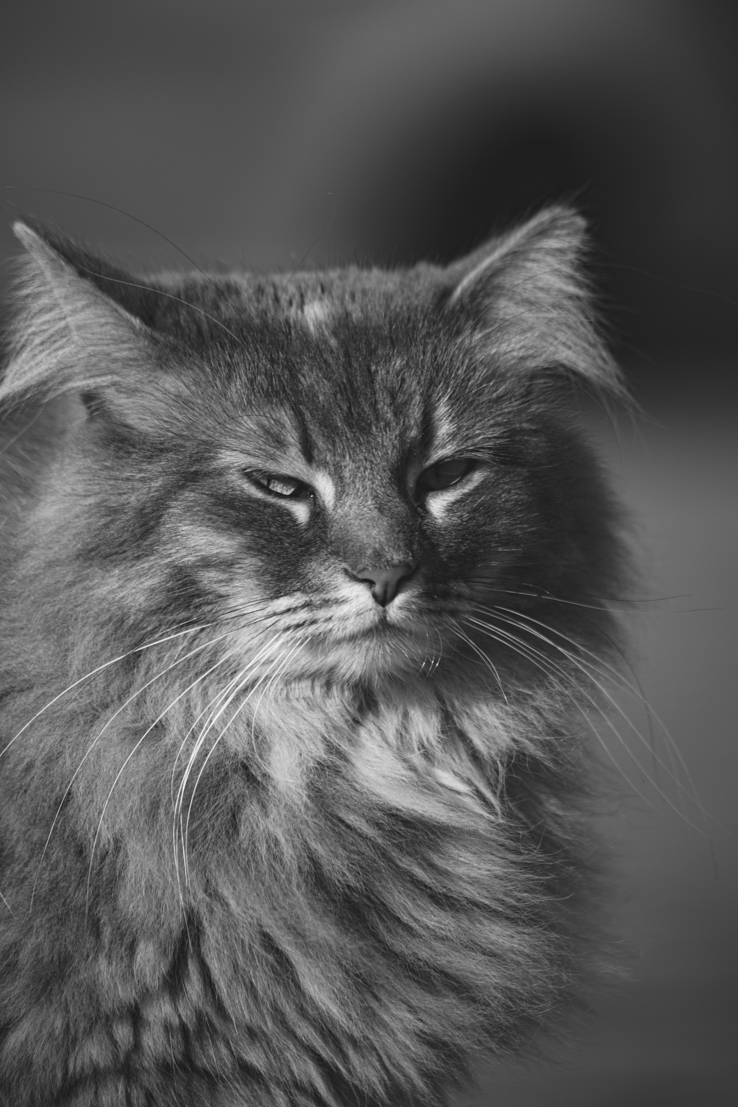 Ч \ Б. — Digital Noise —