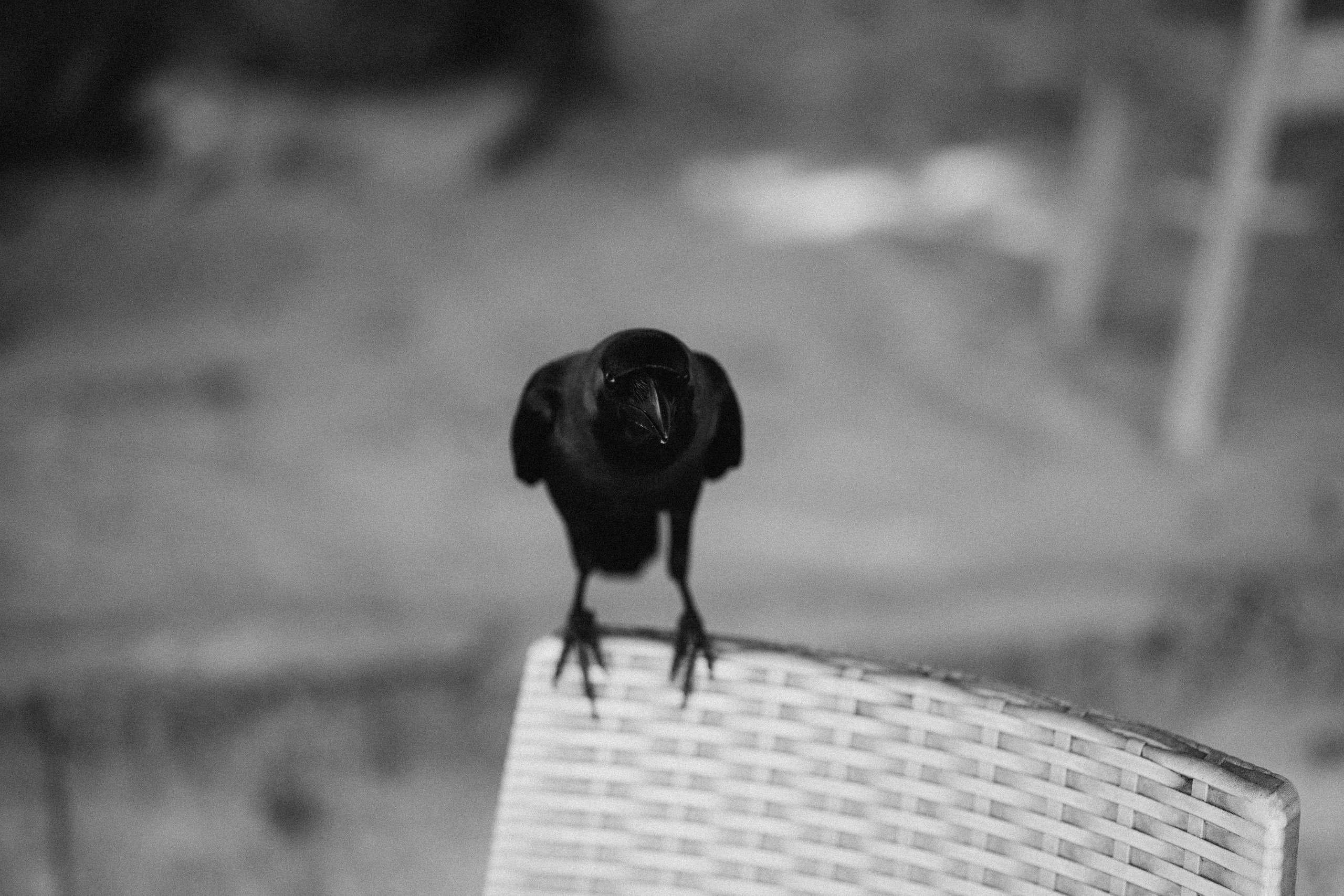 Family. Alesya Gee Photographer Uzbekistan