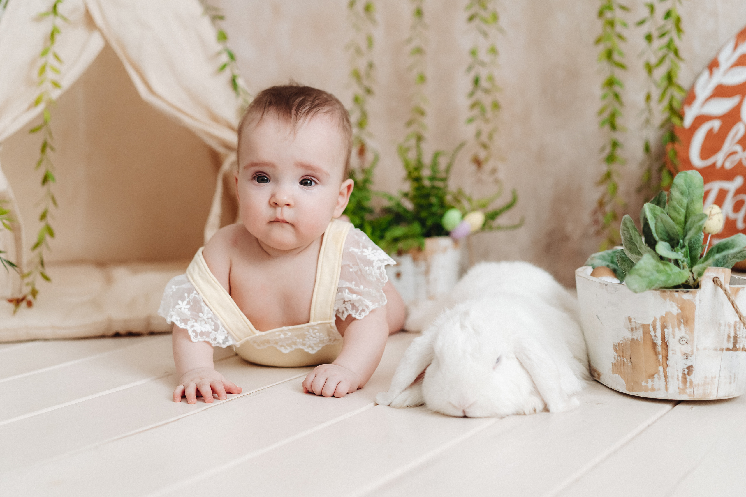 Тематические мини фотосессии. Семейный и контент фотограф в Красноярске Власова Екатерина