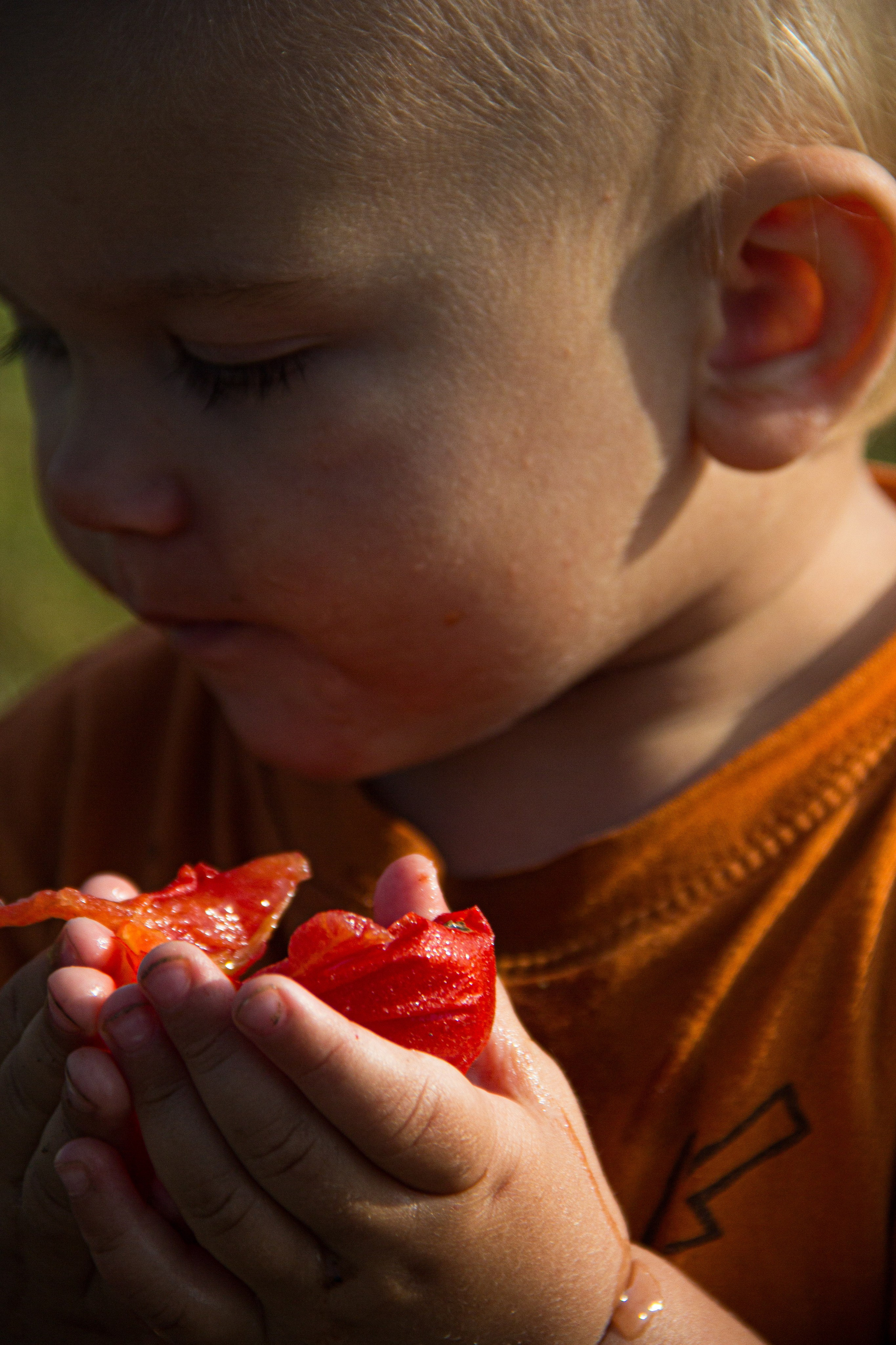 Portrait: Tomato Delight 🍅. Фотограф в Перми Любовь Огородова | Авторские туры
