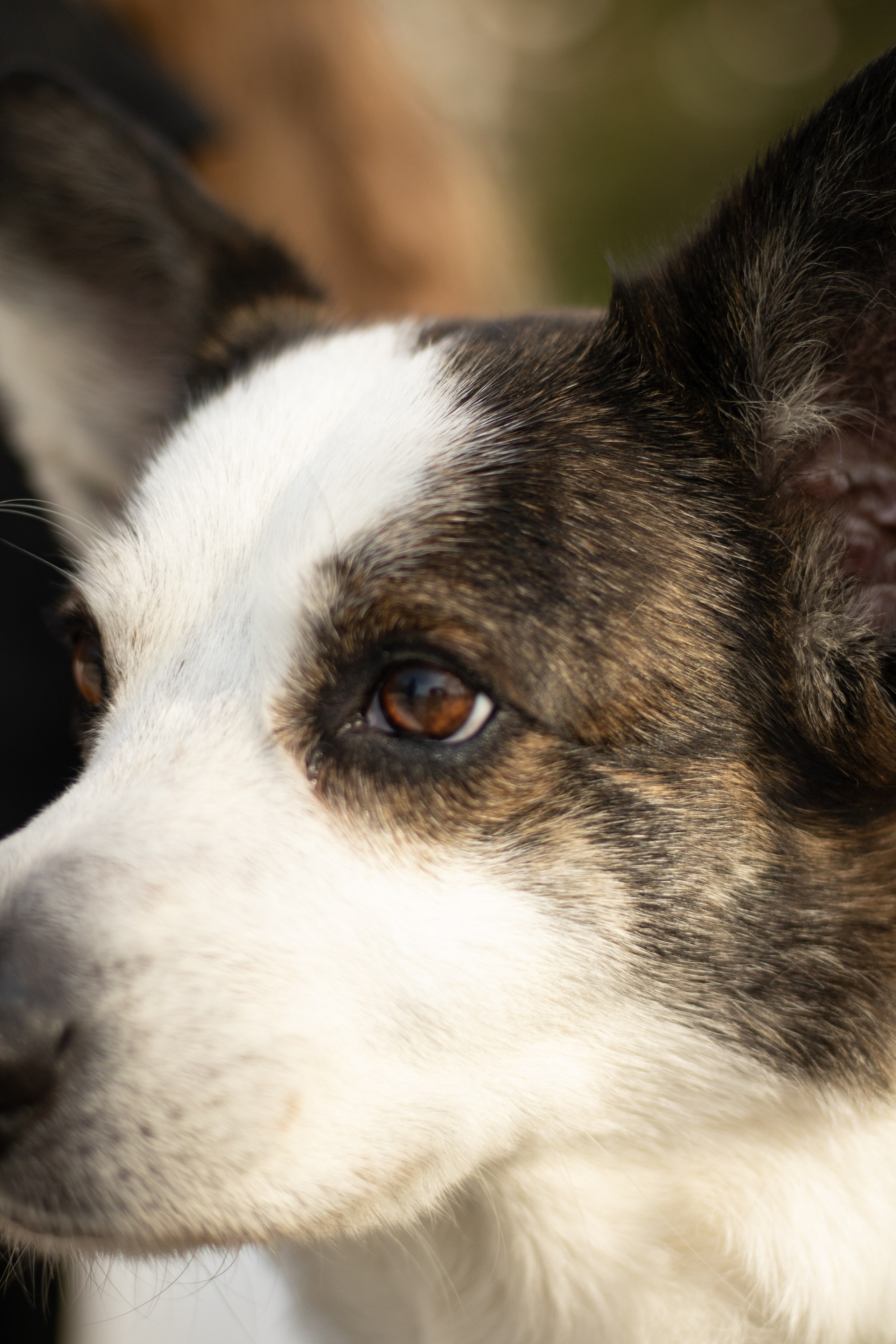 Юлия и Тэя. Катя Попова|ЛайфСтайл фотограф