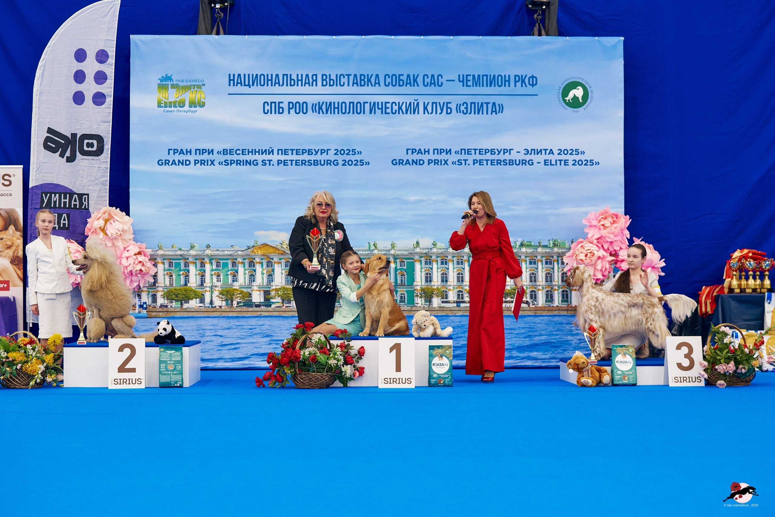 27.04.2025 | "Петербург-Элита 2025" & «КУБОК «ЭЛИТЫ»-2025»