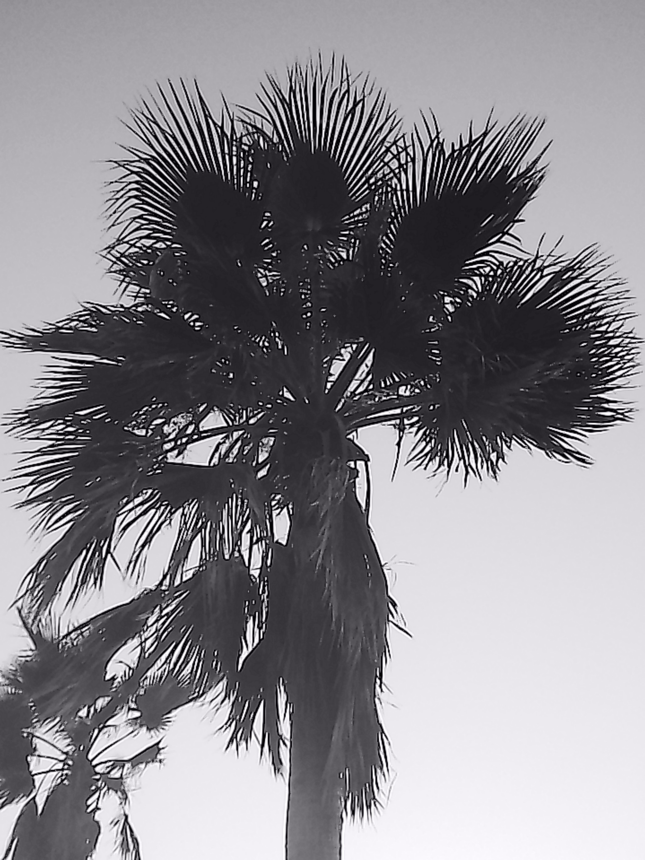 «Крошка 🐣». Anita_photo