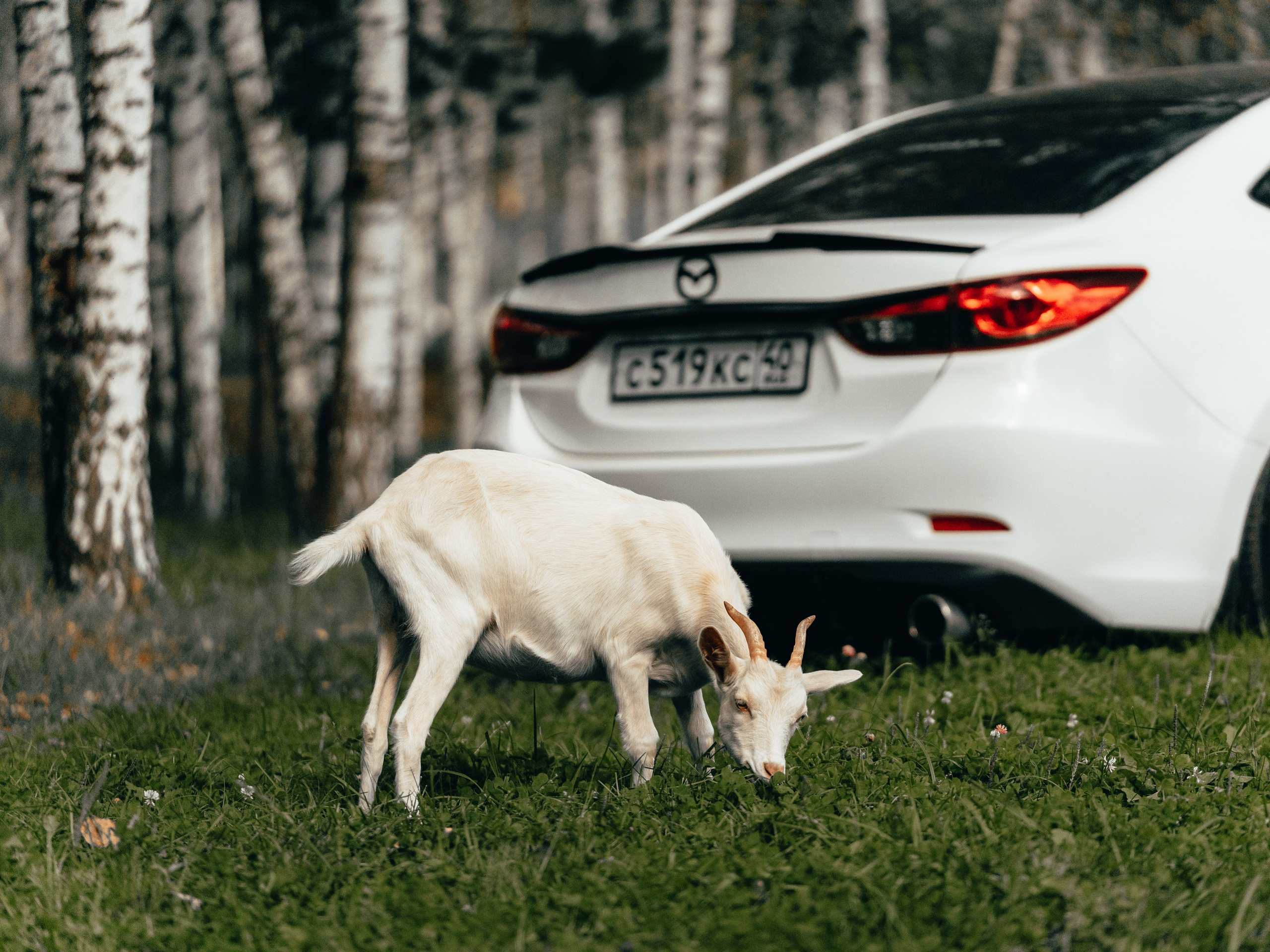 Сar photography. Фотограф Москва и Область