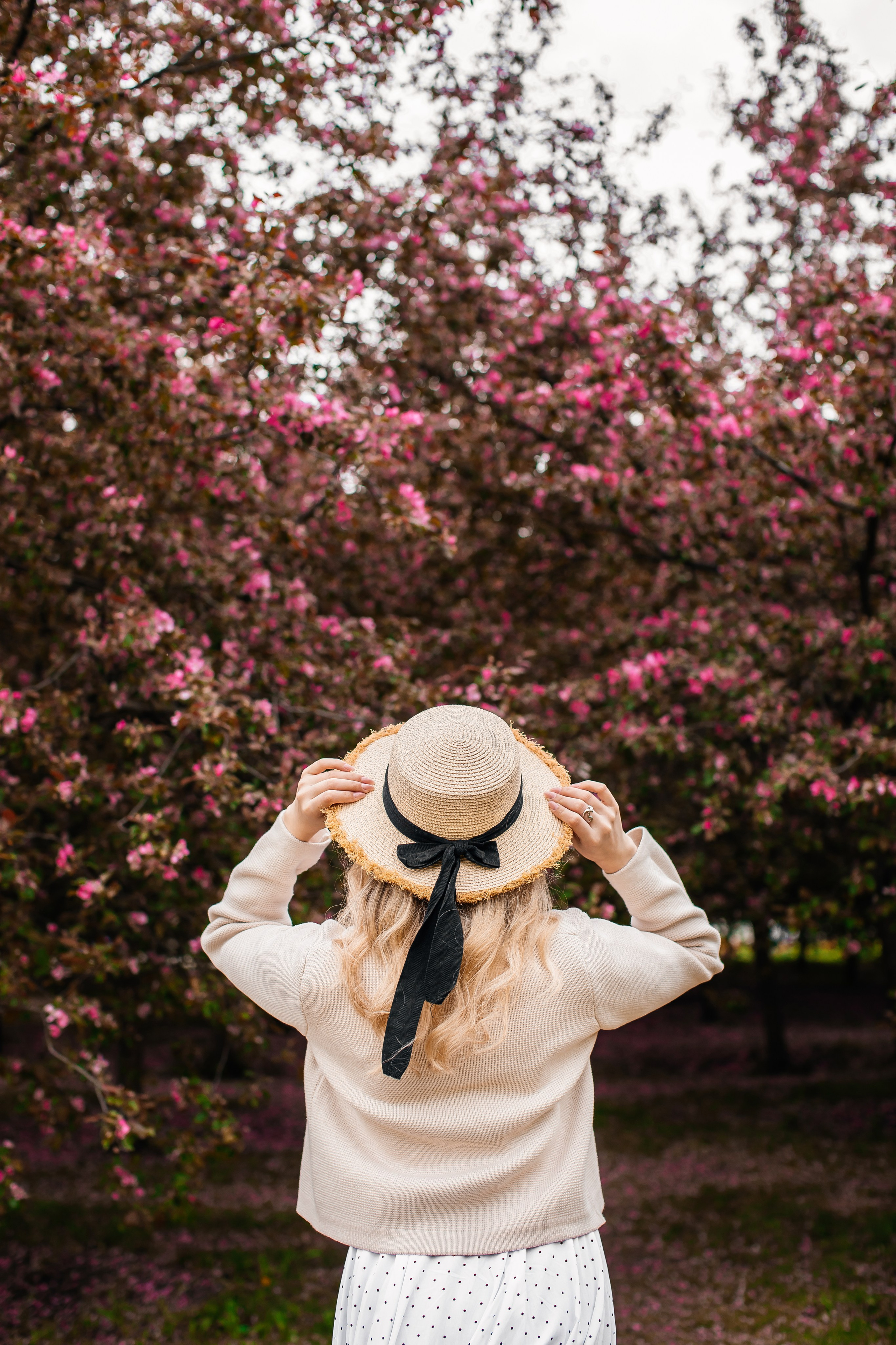 Цветение. Анастасия Давыдова