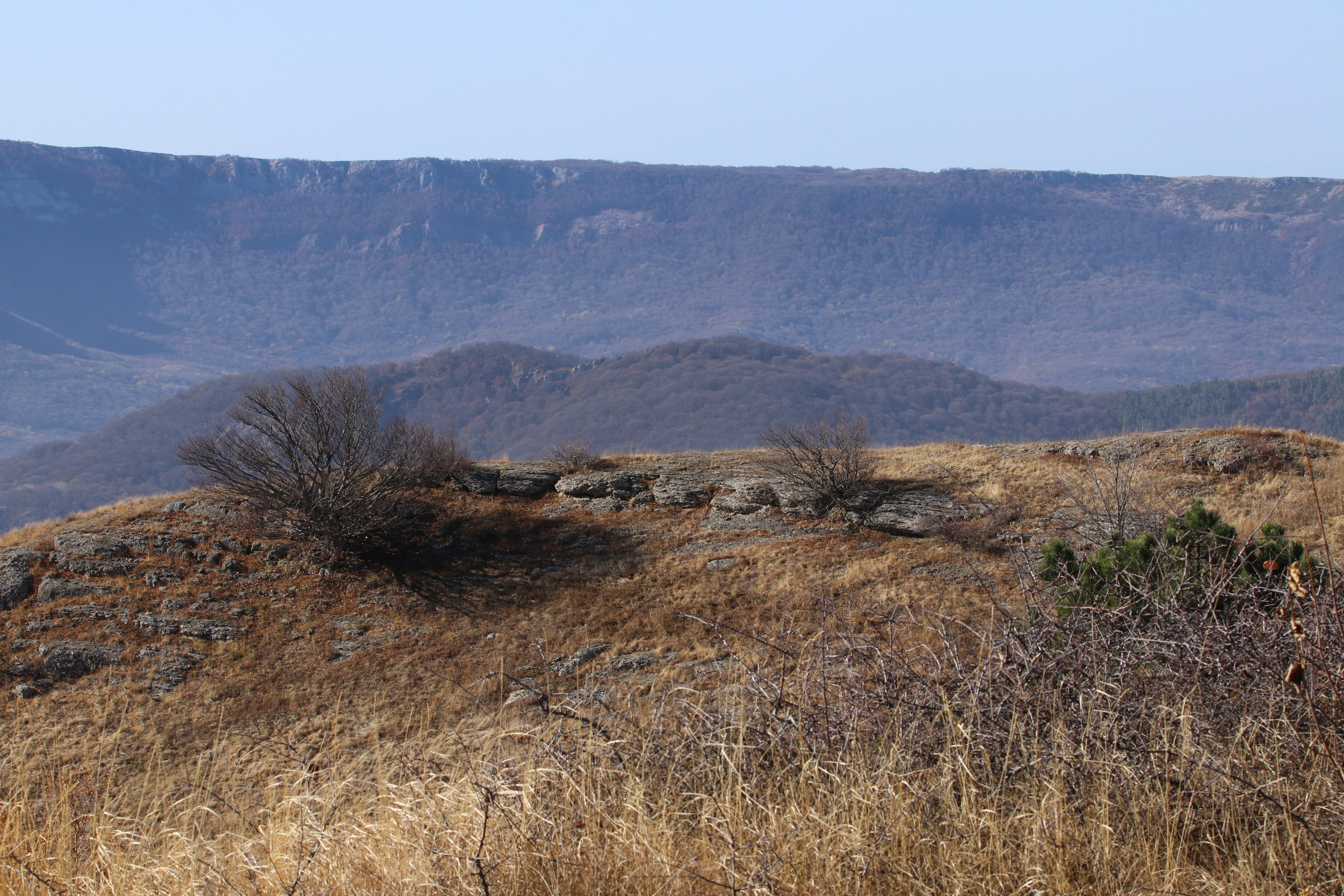 Крым. ЮБК (Гурзуф, Судак и их окрестности). Ноябрь 2023. Путешественник-фотограф из Санкт-Петербурга Татьяна Свистулина