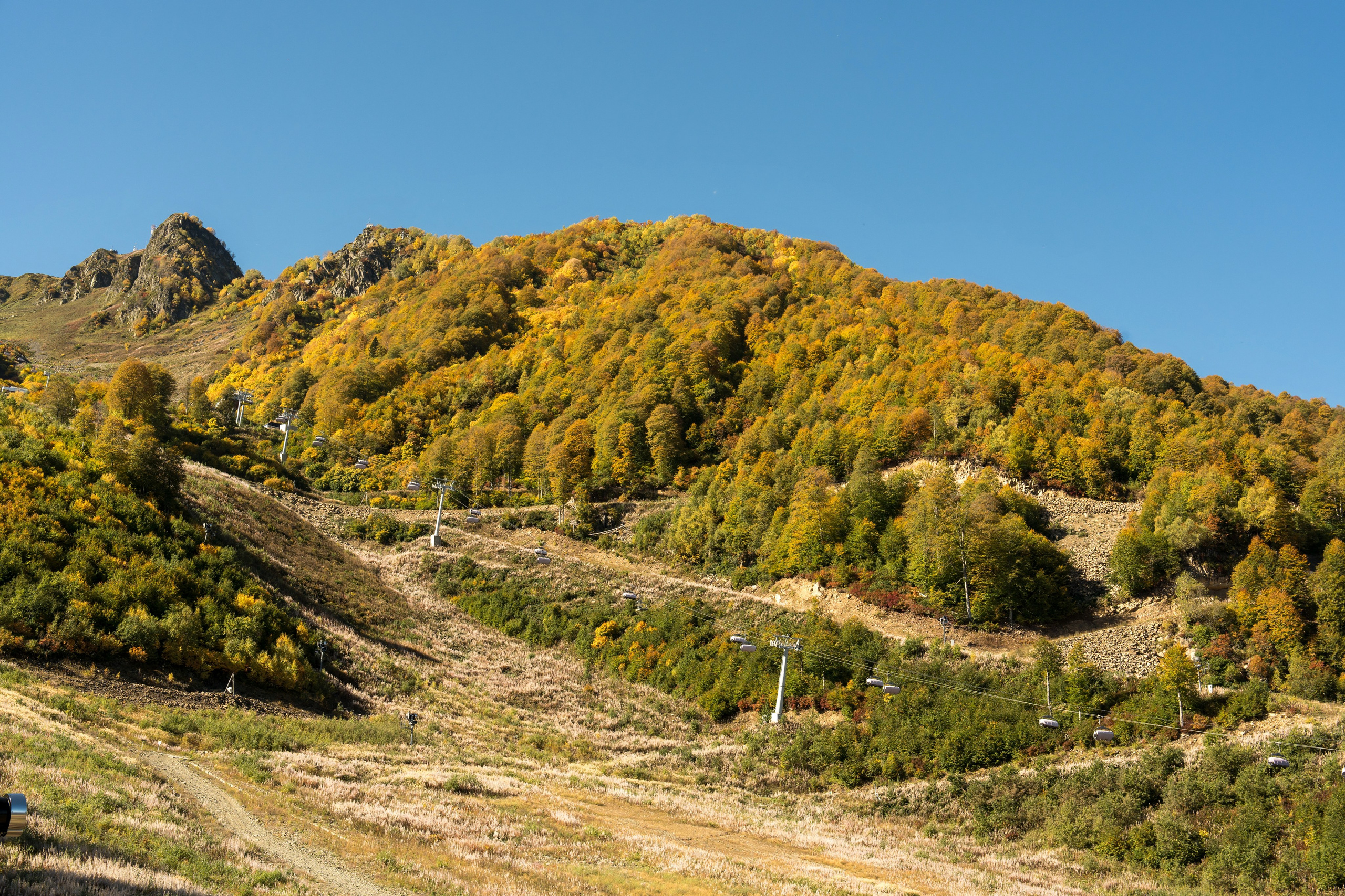 ChinaRosaFest 2024. Репортажный фотограф в Красной Поляне и Сочи Павлюченко Екатерина