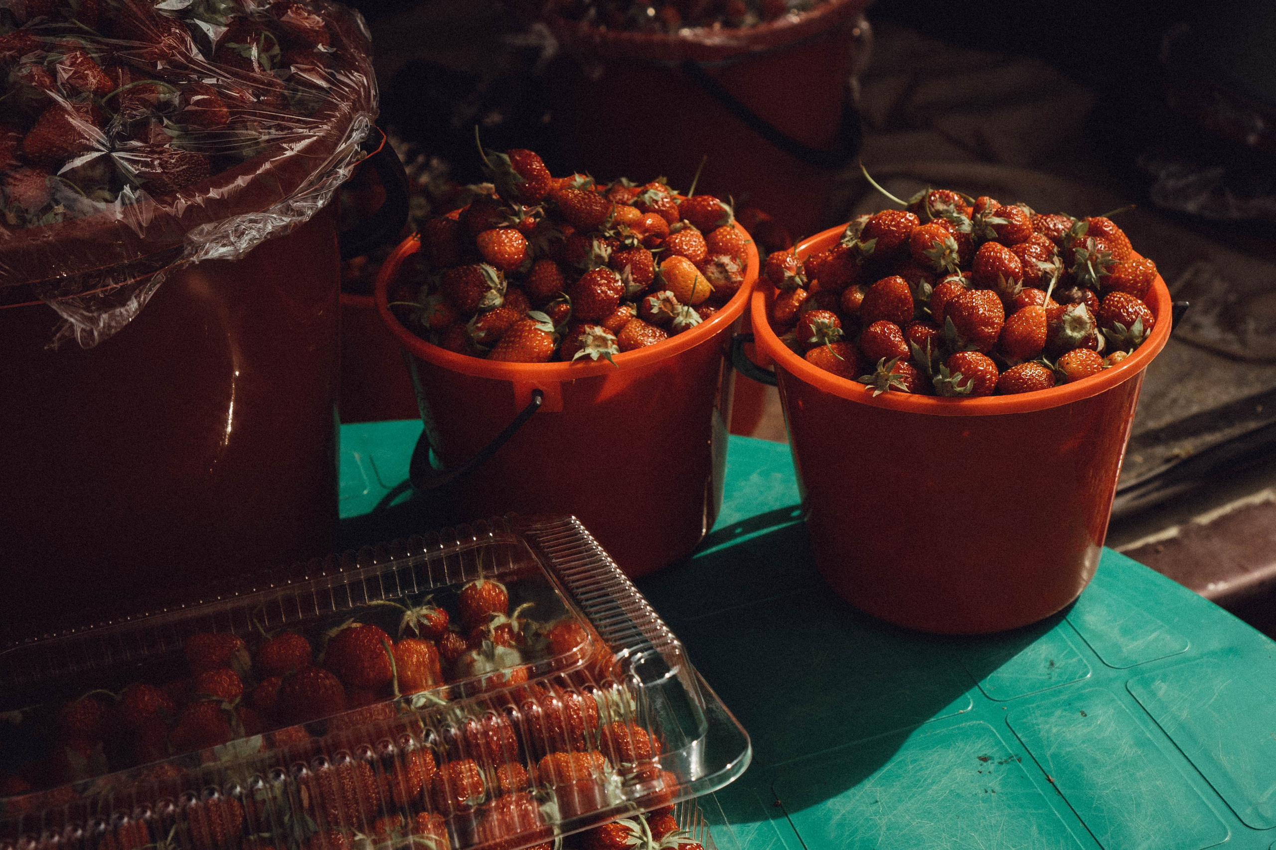 Кавказ. Профессиональный фотограф, Санкт-Петербург — Виктория Богомолова