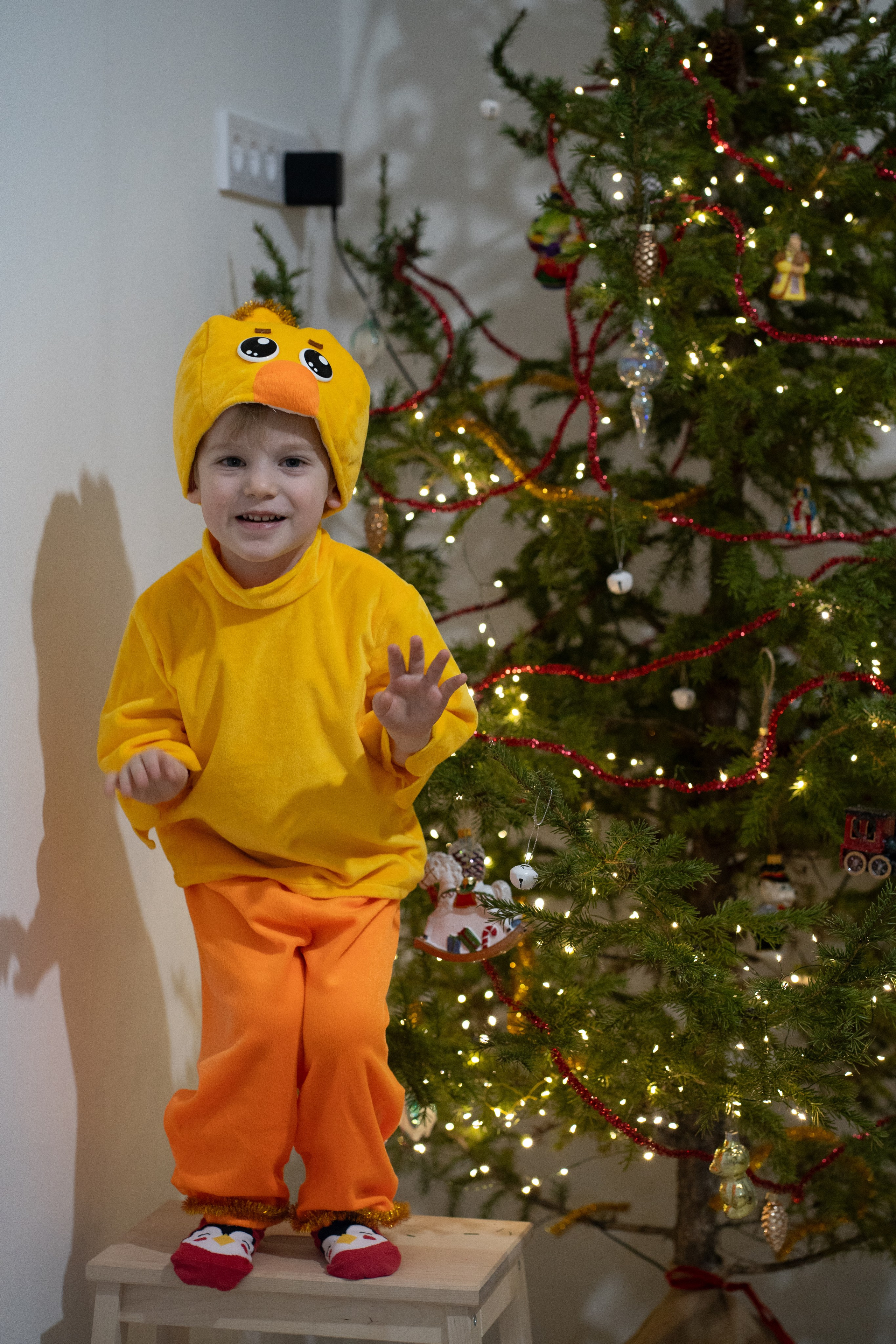 Новый год дома. Алена Коломоец | Фотограф, Мирный, Якутия