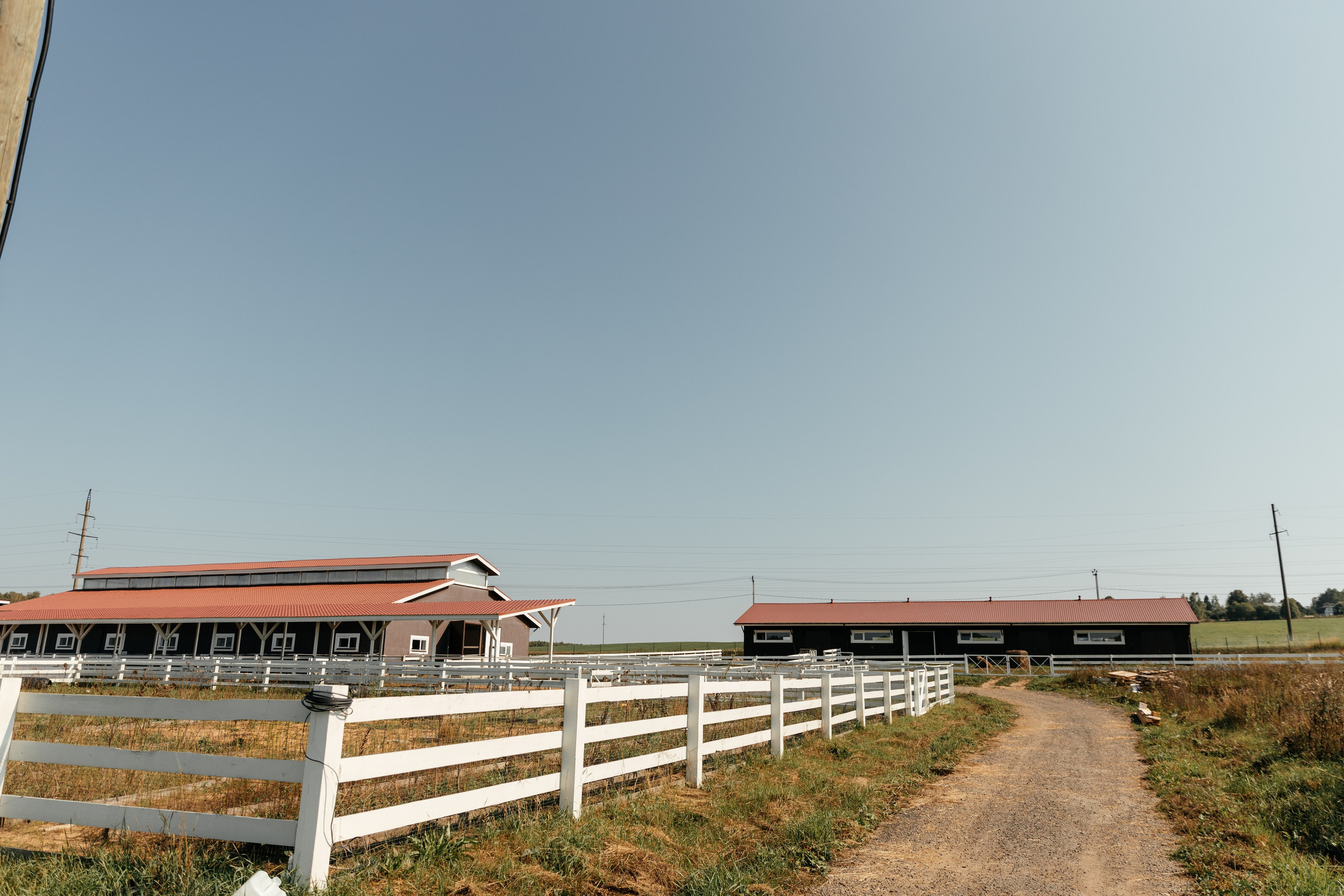 Полина и Саша | Ранчо. Свадебный фотограф Ангелина Зотова | Обнинск, Москва, Калуга