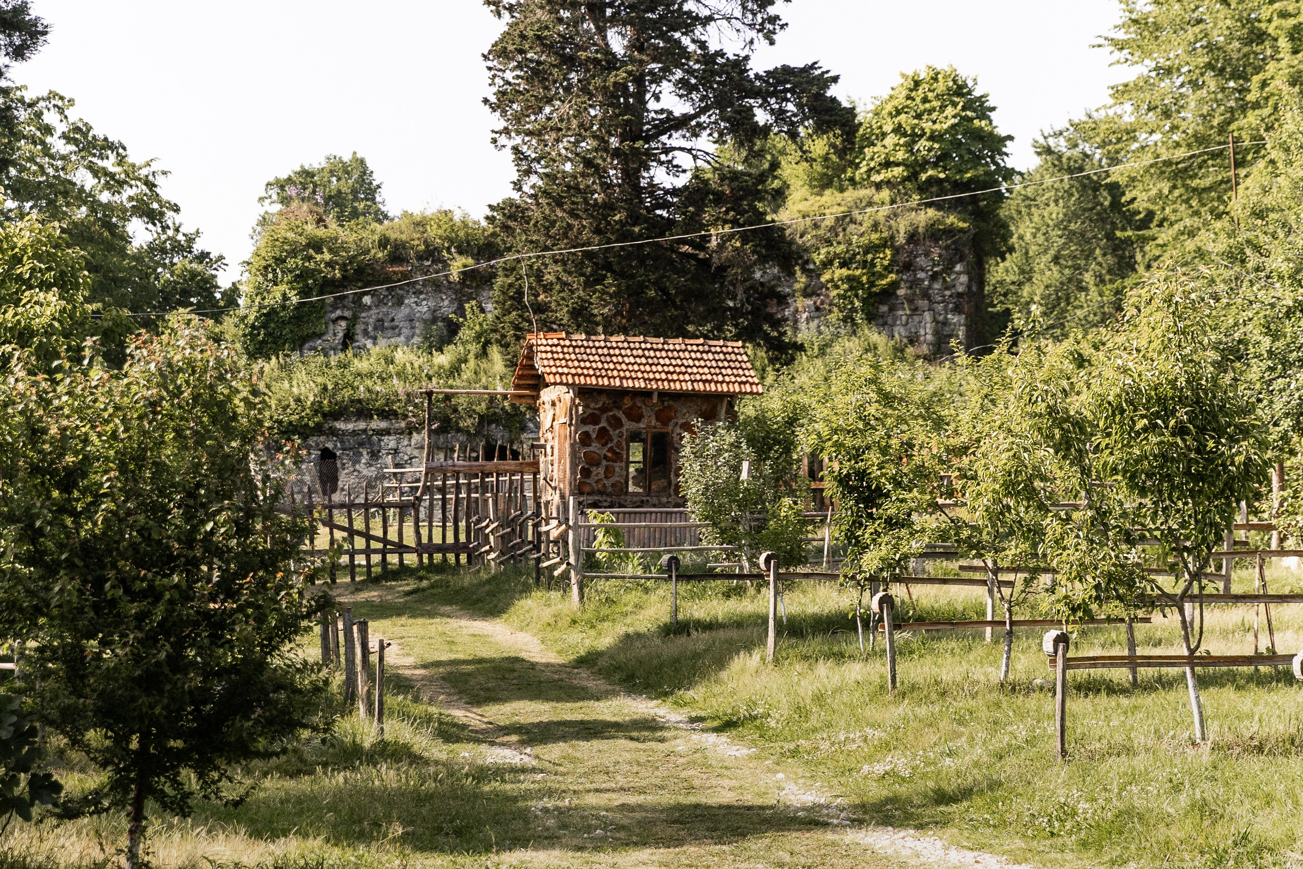 АМБАРА | МЮССЕРА. Семейный фотограф на крещение и венчание