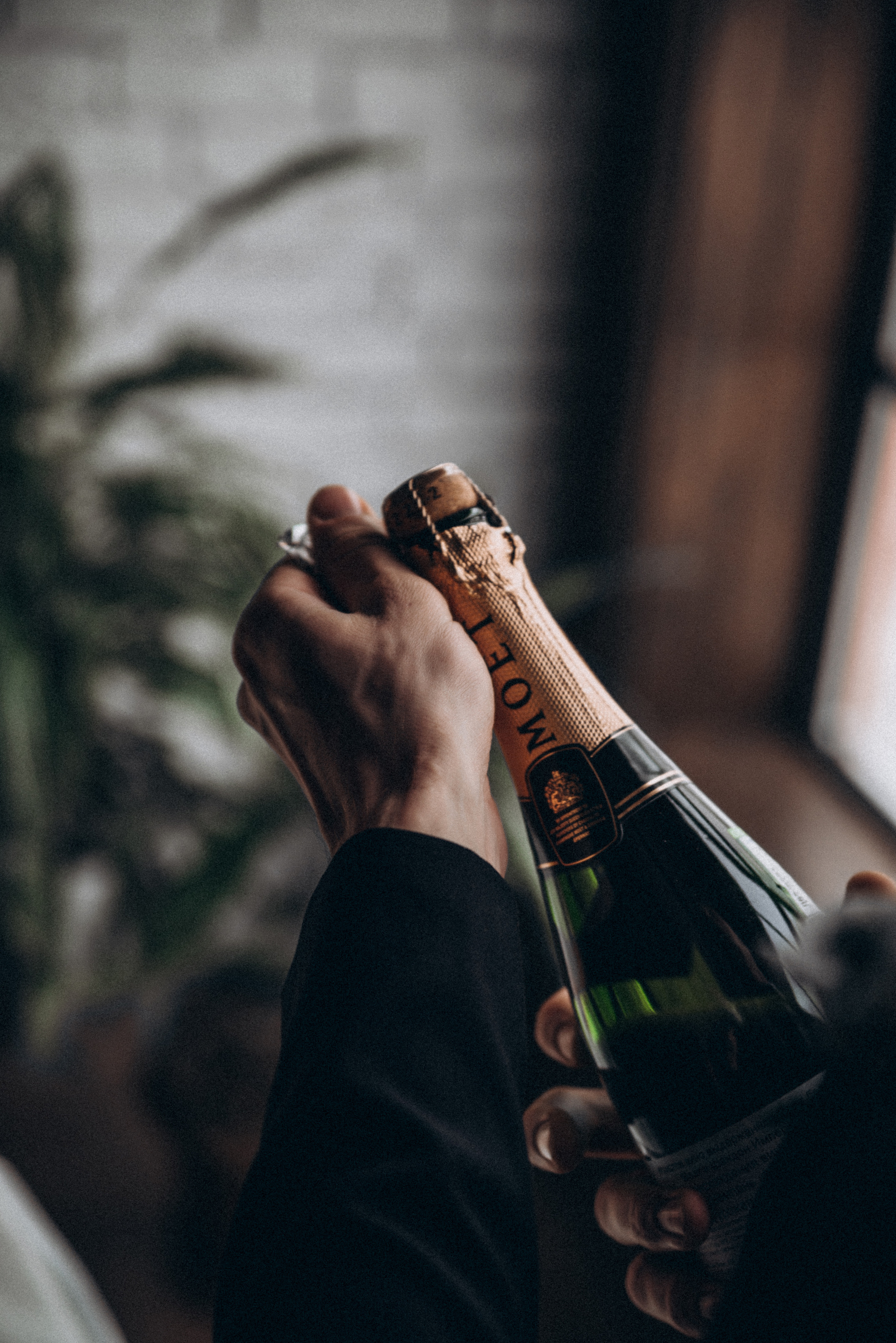 February, 2022. Фотограф Данил Бушуев