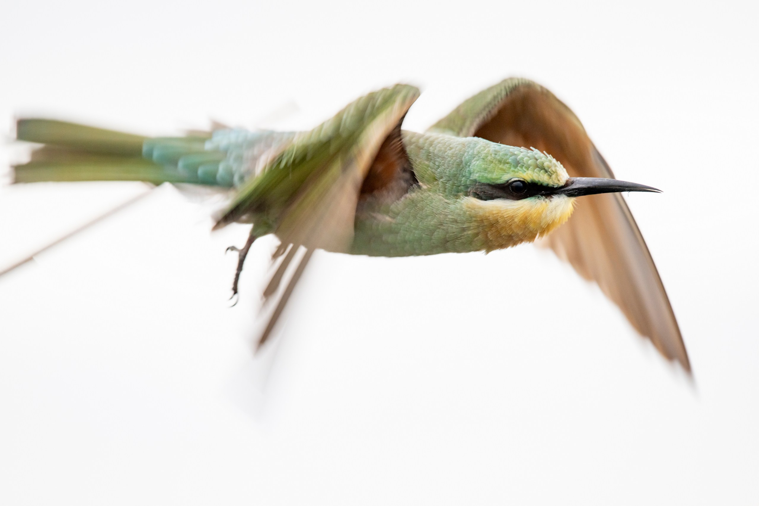 Природа Дагестана, сентябрь 2024. Foto-Zuev фотография как искусство