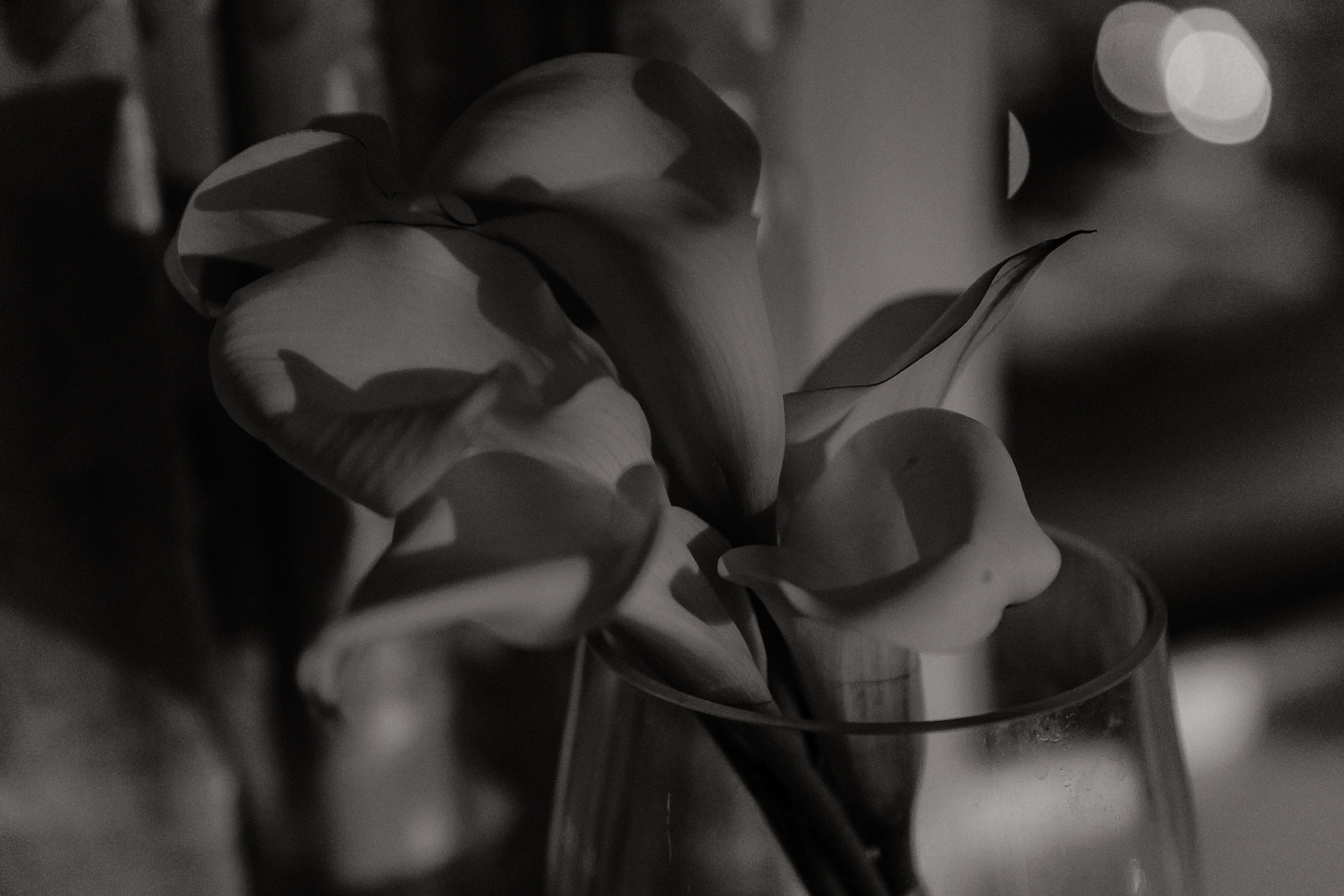 P & A | KRASNODAR. Свадебный фотограф в Москве и Краснодаре Анастасия Прудко