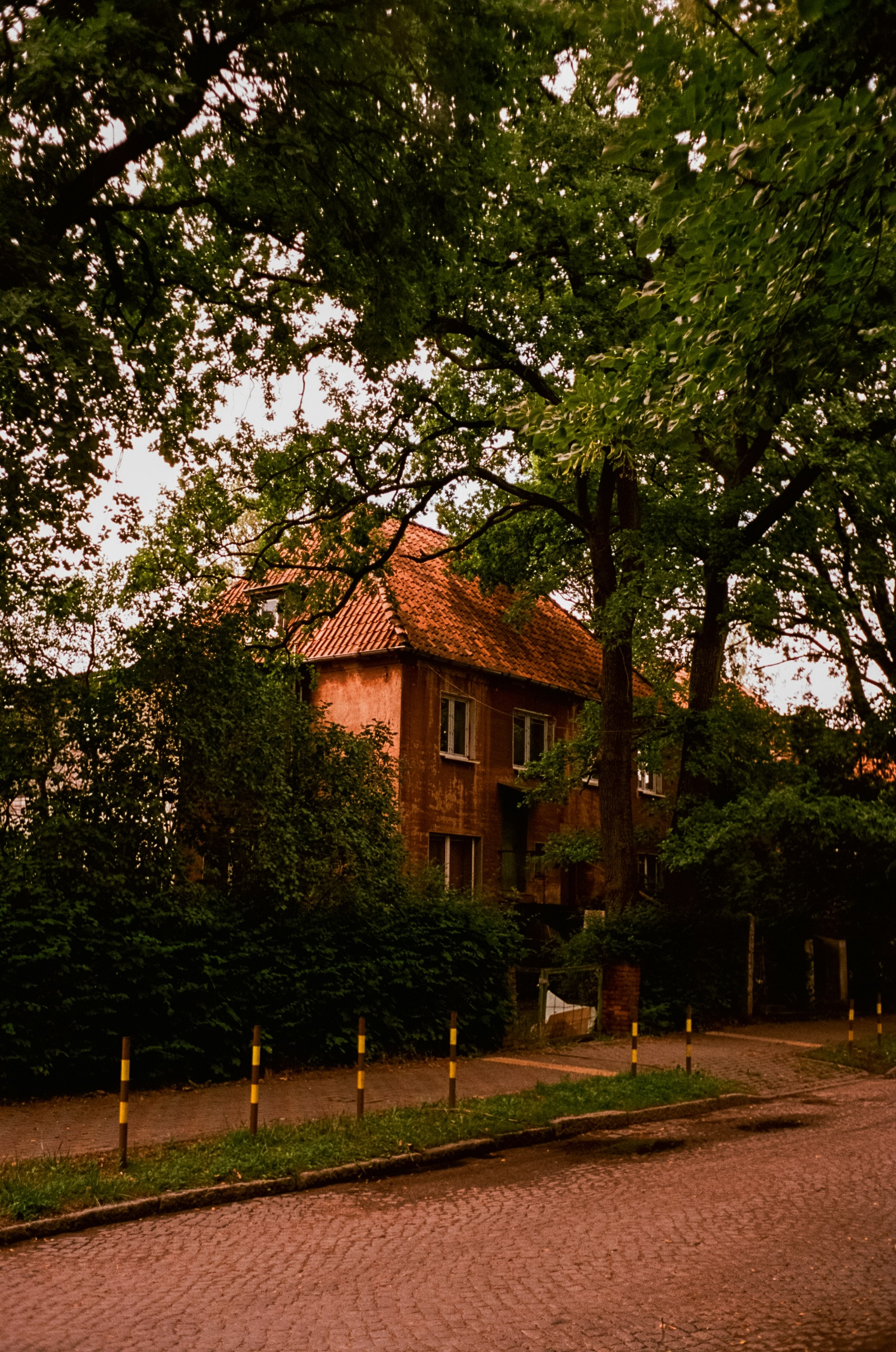 12–13 июля Калининград / Minox 35 GT (2) / Kodak Aeronega 100 (Kodak Aerocolor IV)