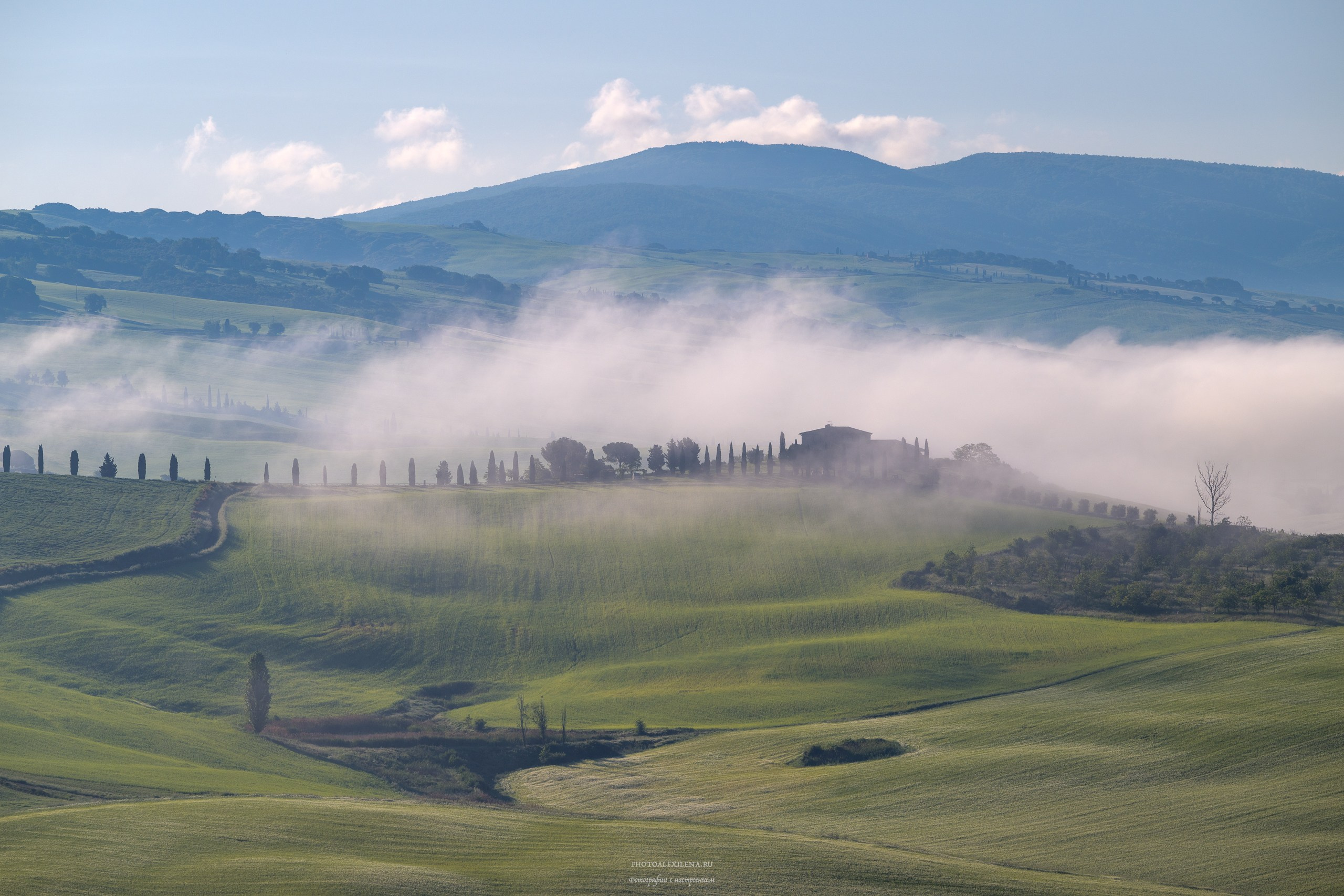 Волшебное утро в Тоскане. Авторские стильные фотокартины