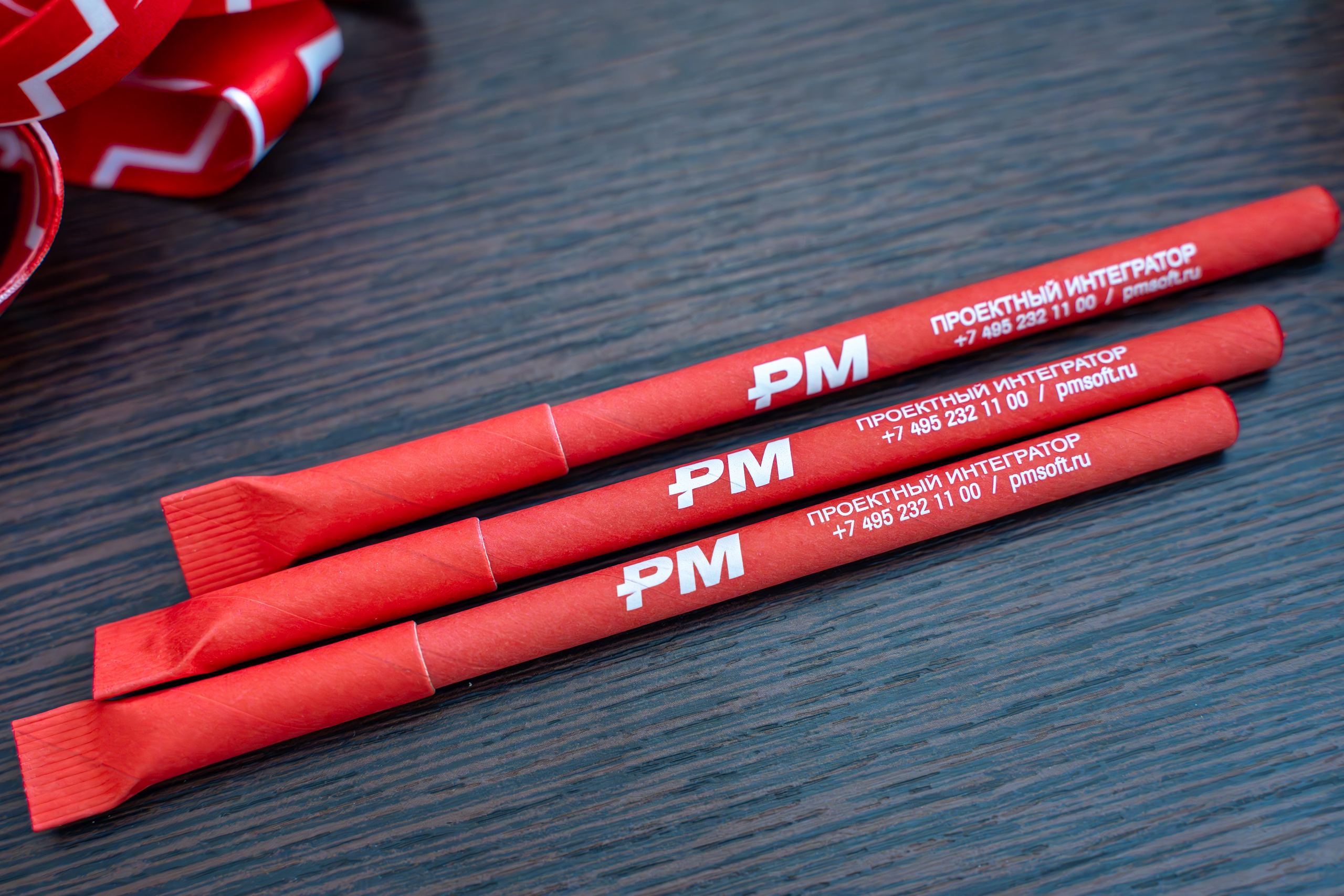 Международная конференция по управлению проектами. Репортажный фотограф в Красной Поляне и Сочи Павлюченко Екатерина