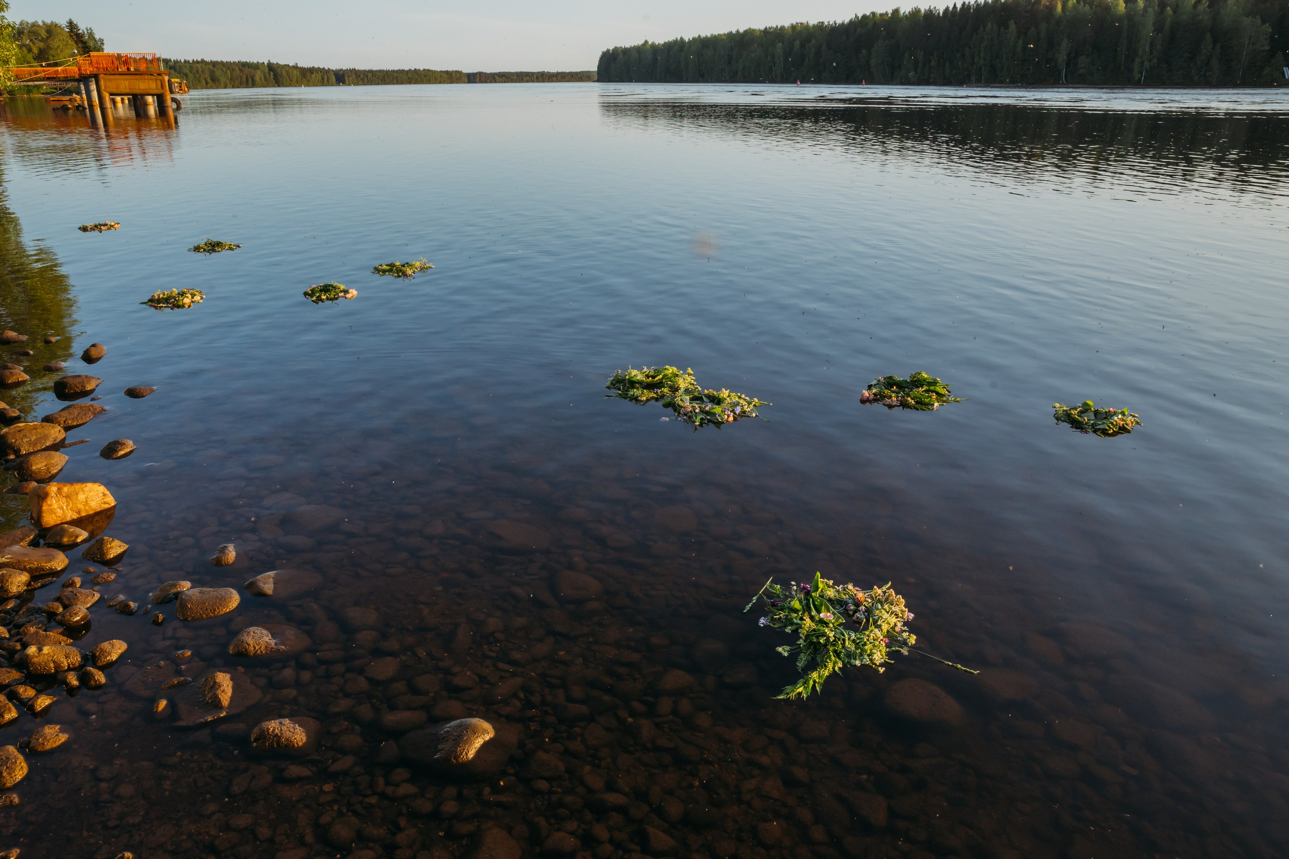 Родные люди «Мандроги». Леся Гаранина. Семейный фотограф/видеограф Москва и область