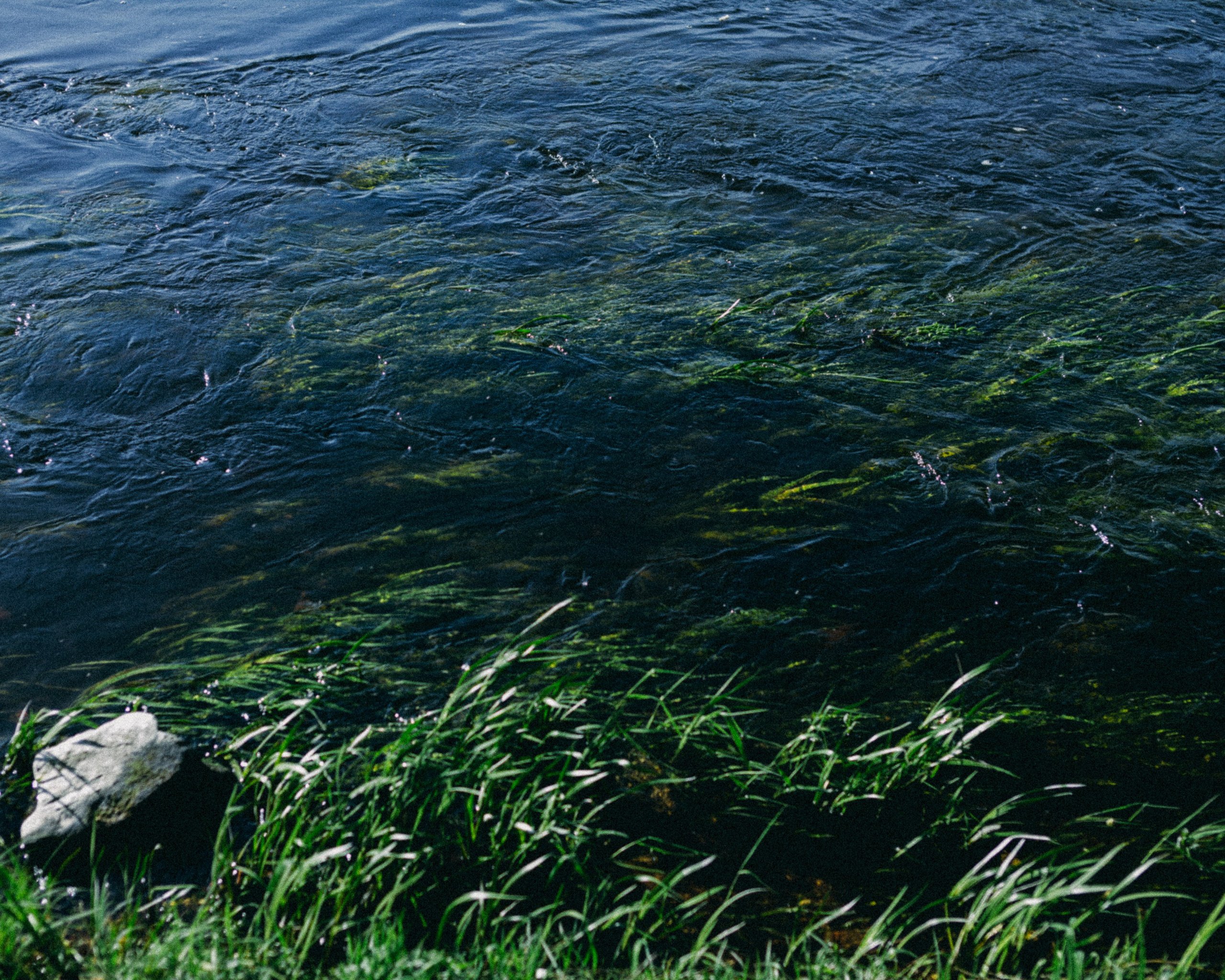 Открытие сезона созерцаний. Репортажный и портретный фотограф во Владимире Сергей Кравцов